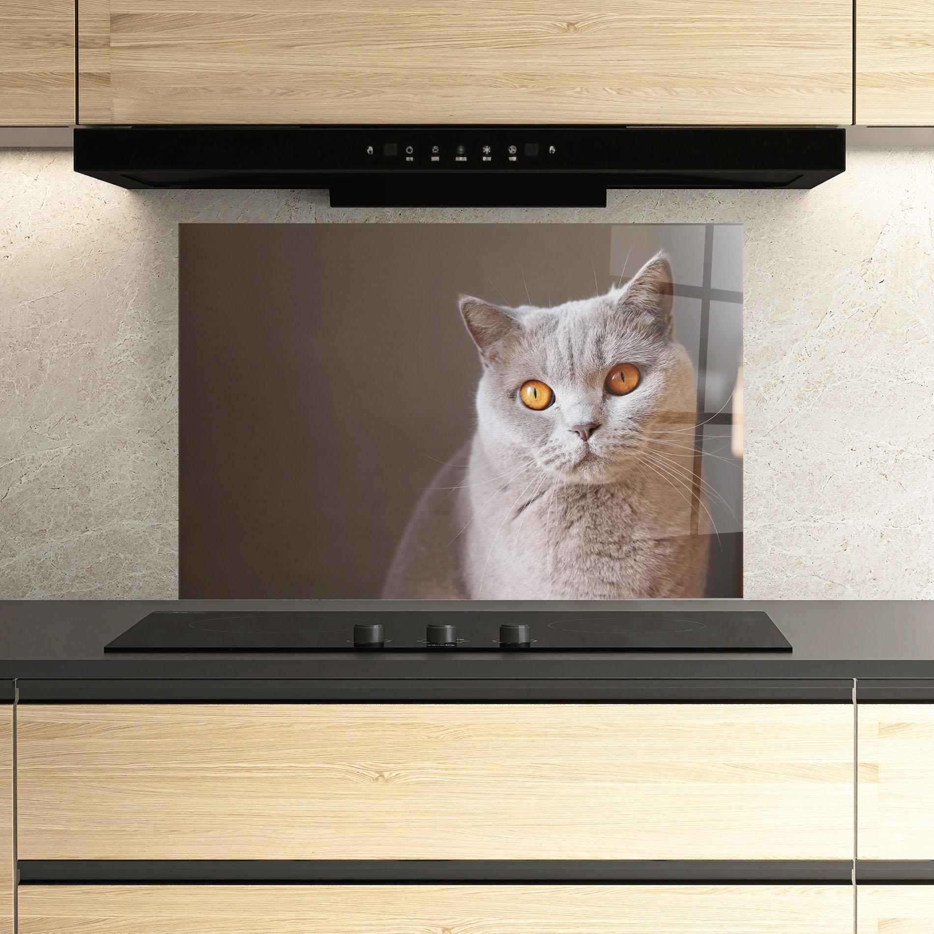 Küchenrückwand Glas Orange Eyes Cat mockup 3