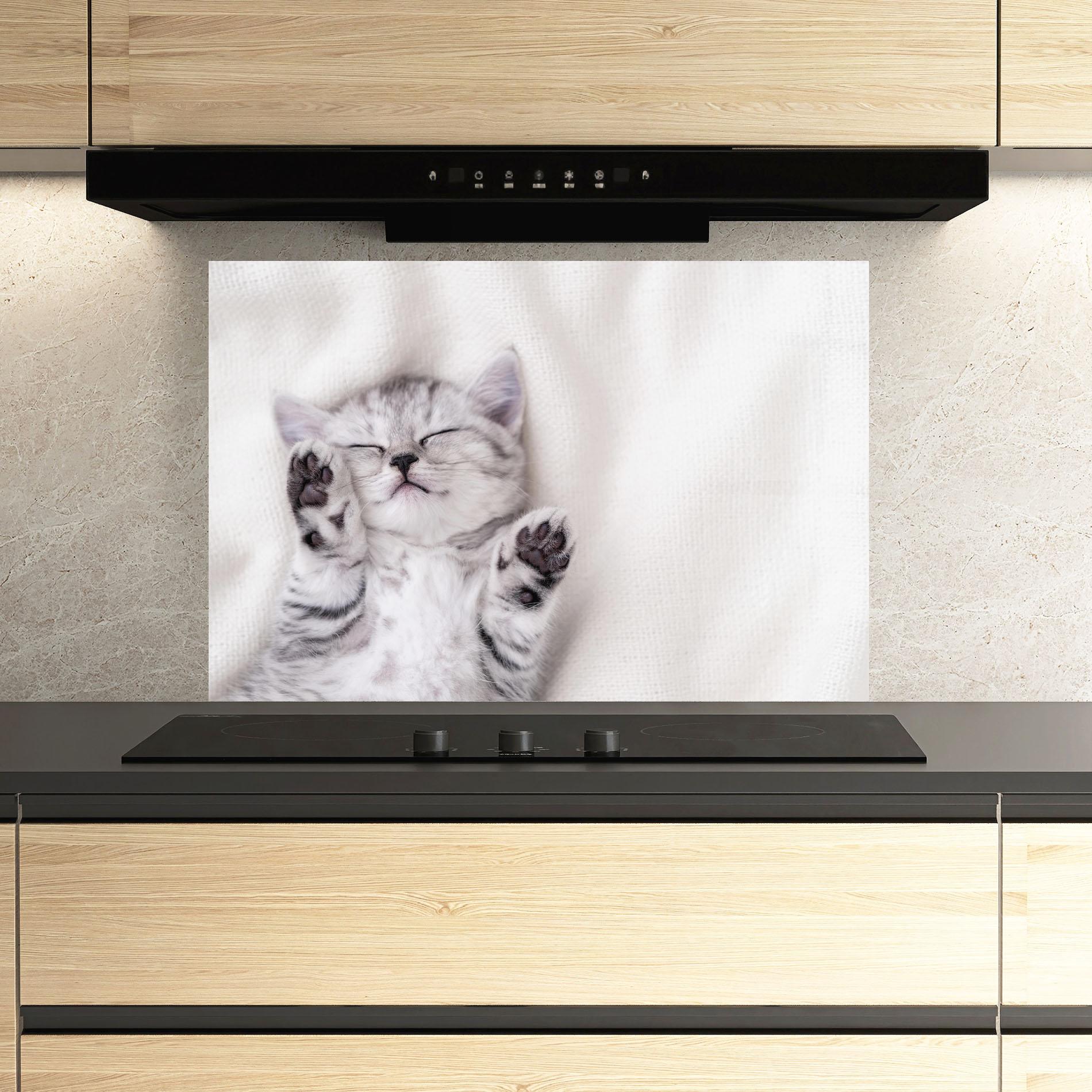 Küchenrückwand Glas Pretty Baby Cat mockup 3