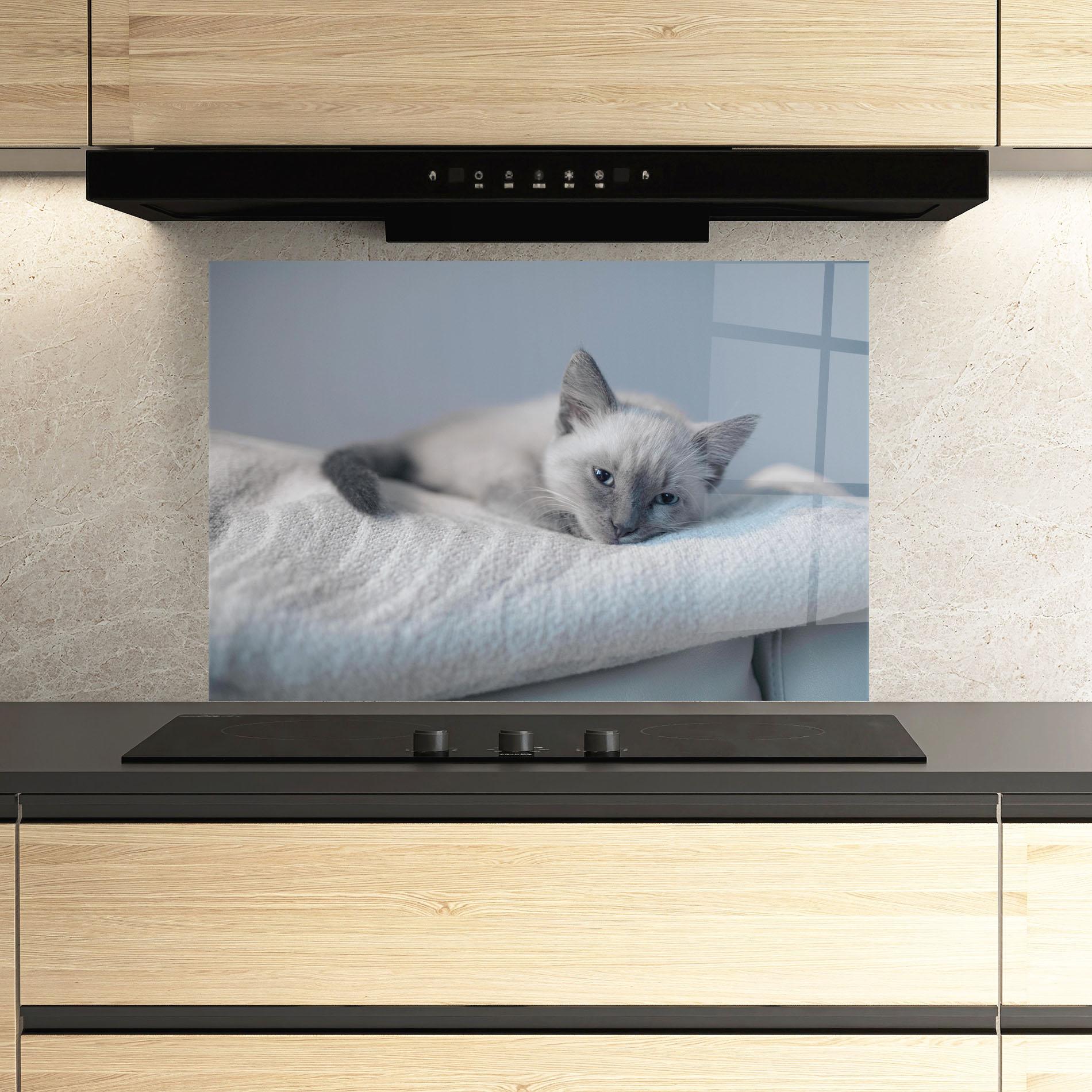 Küchenrückwand Glas Sleepy Grey Cat mockup 3