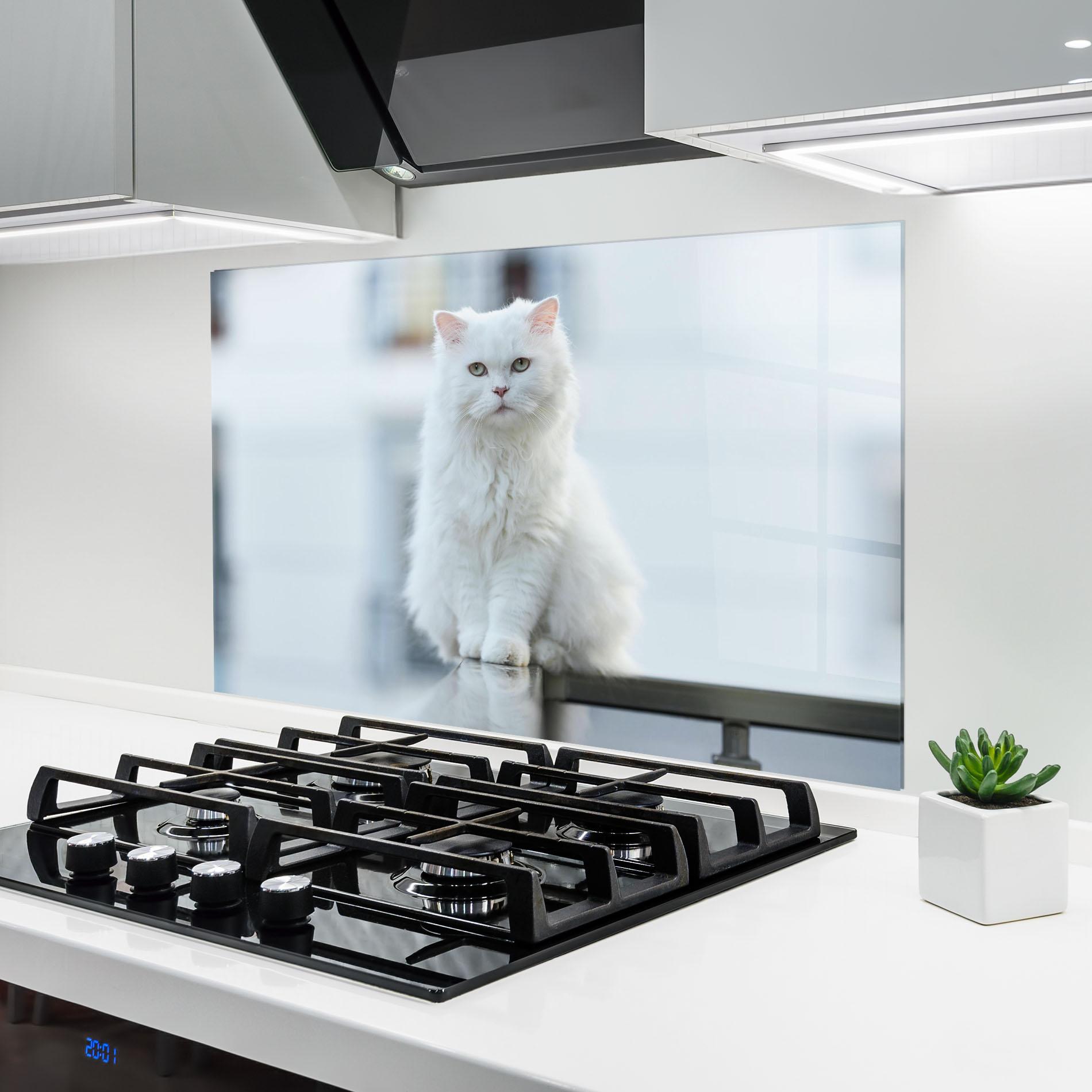 Küchenrückwand Glas Big White Cat mockup 6