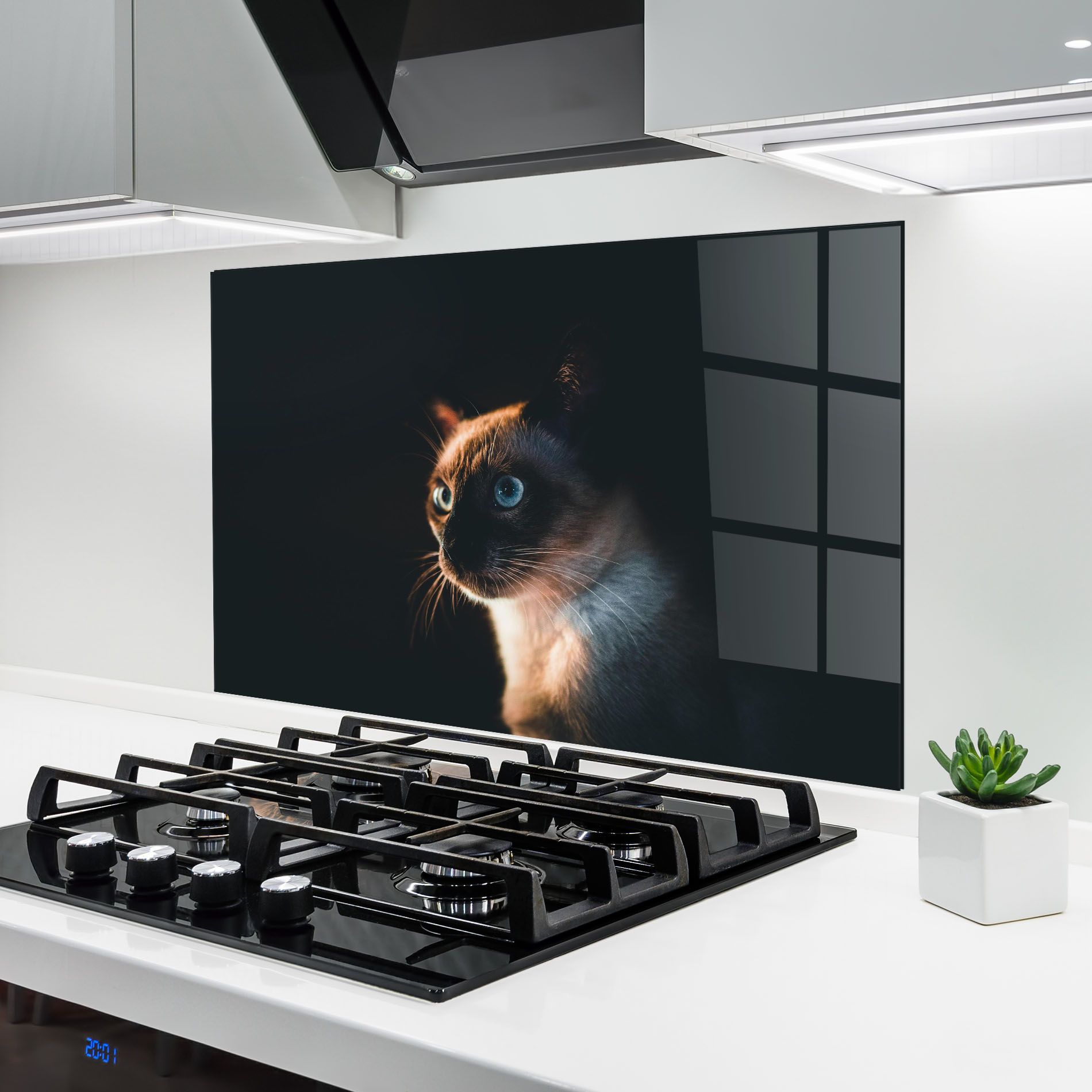 Blue Eyes Cat In Dark mockup 6