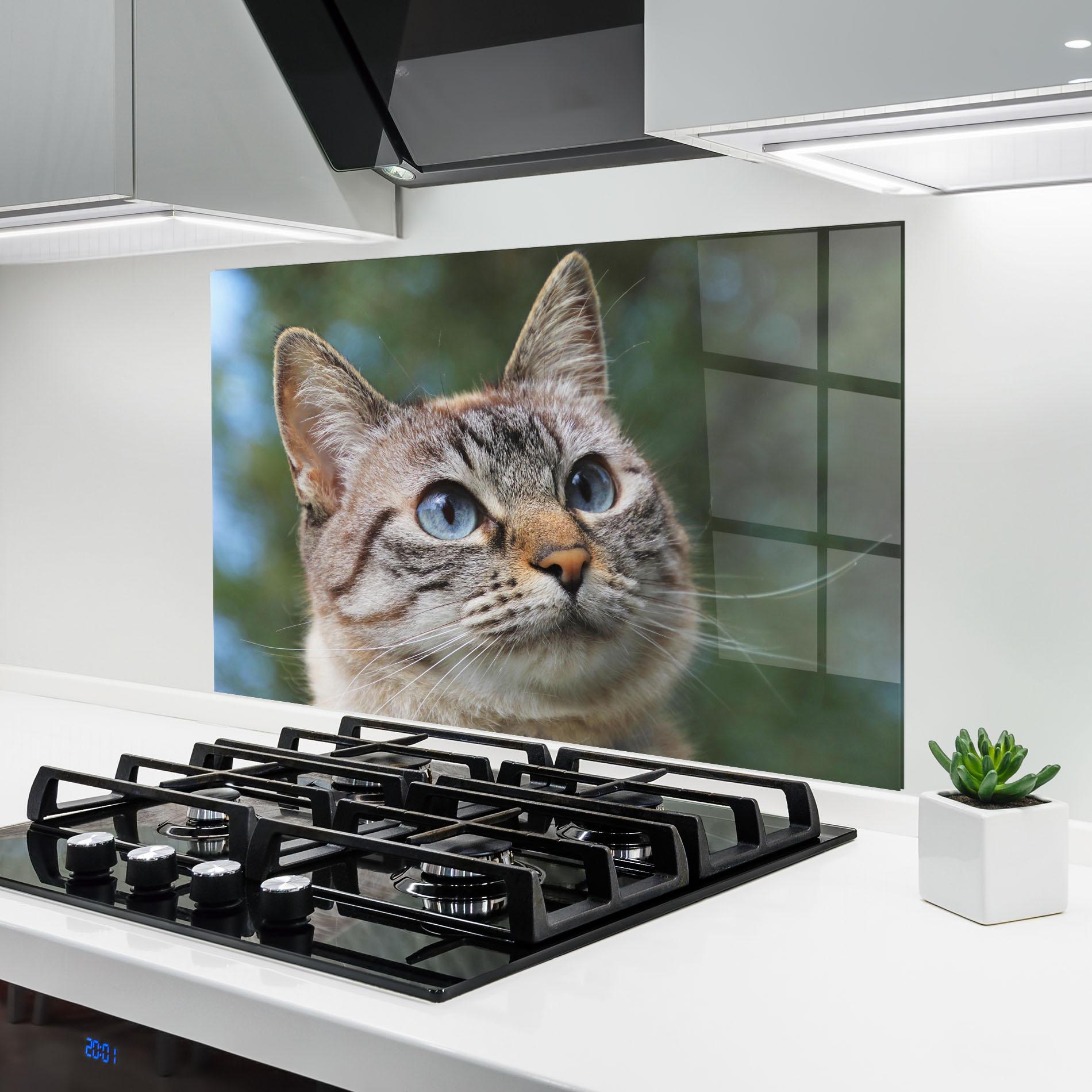 Küchenrückwand Glas Blue Eyes Cutie mockup 6