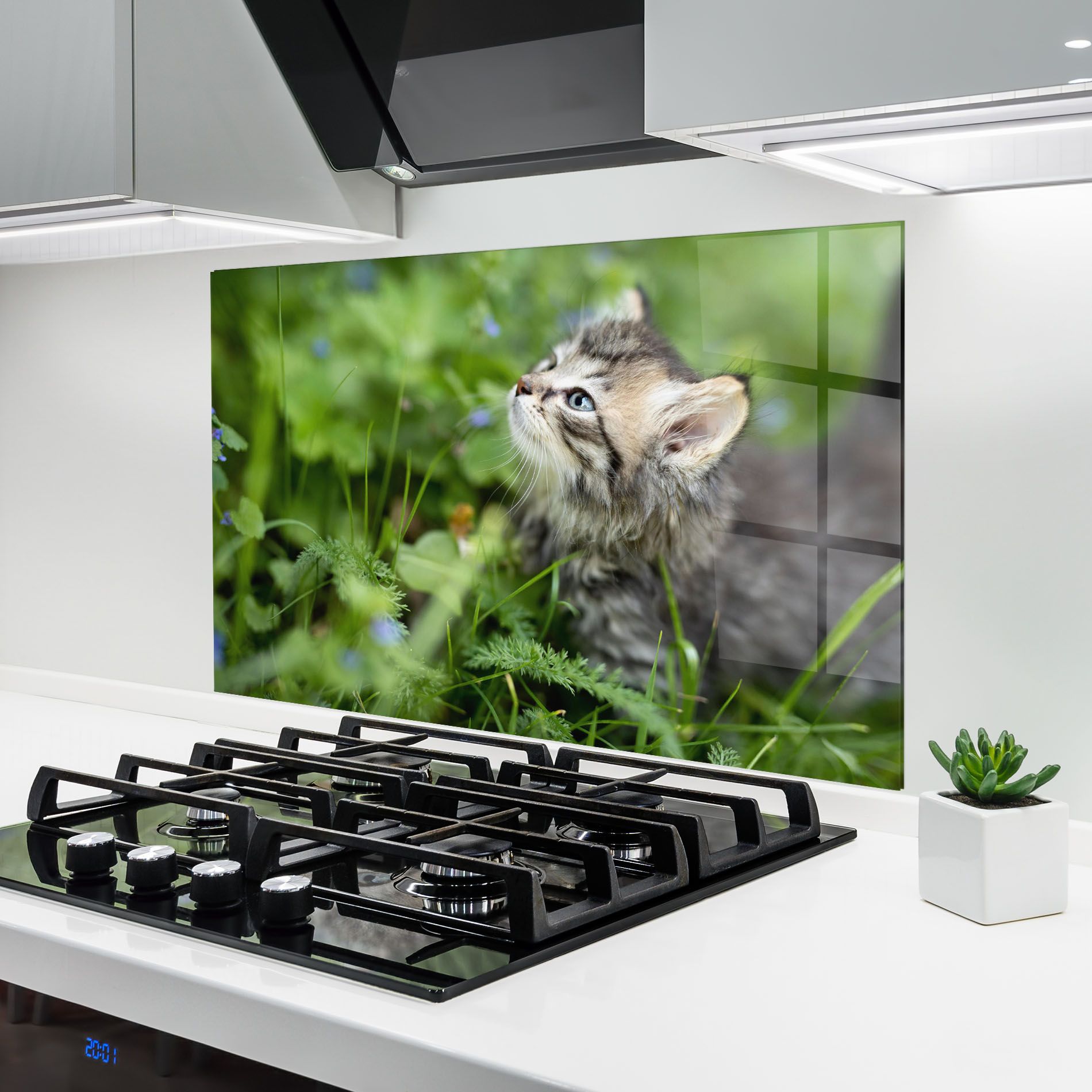 Brown Baby Cat mockup 6