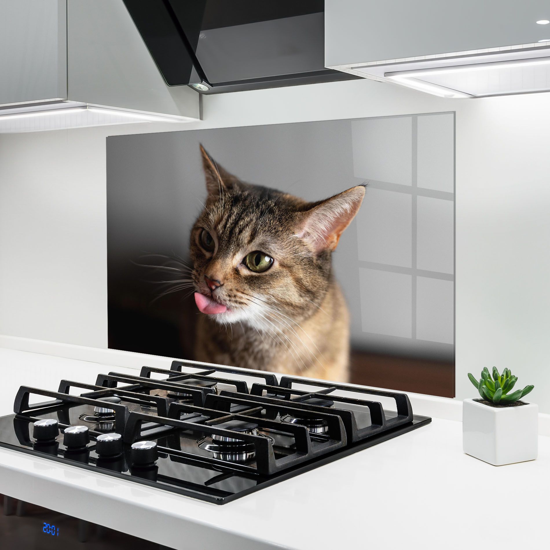 Brown Green Eyes Cat mockup 6