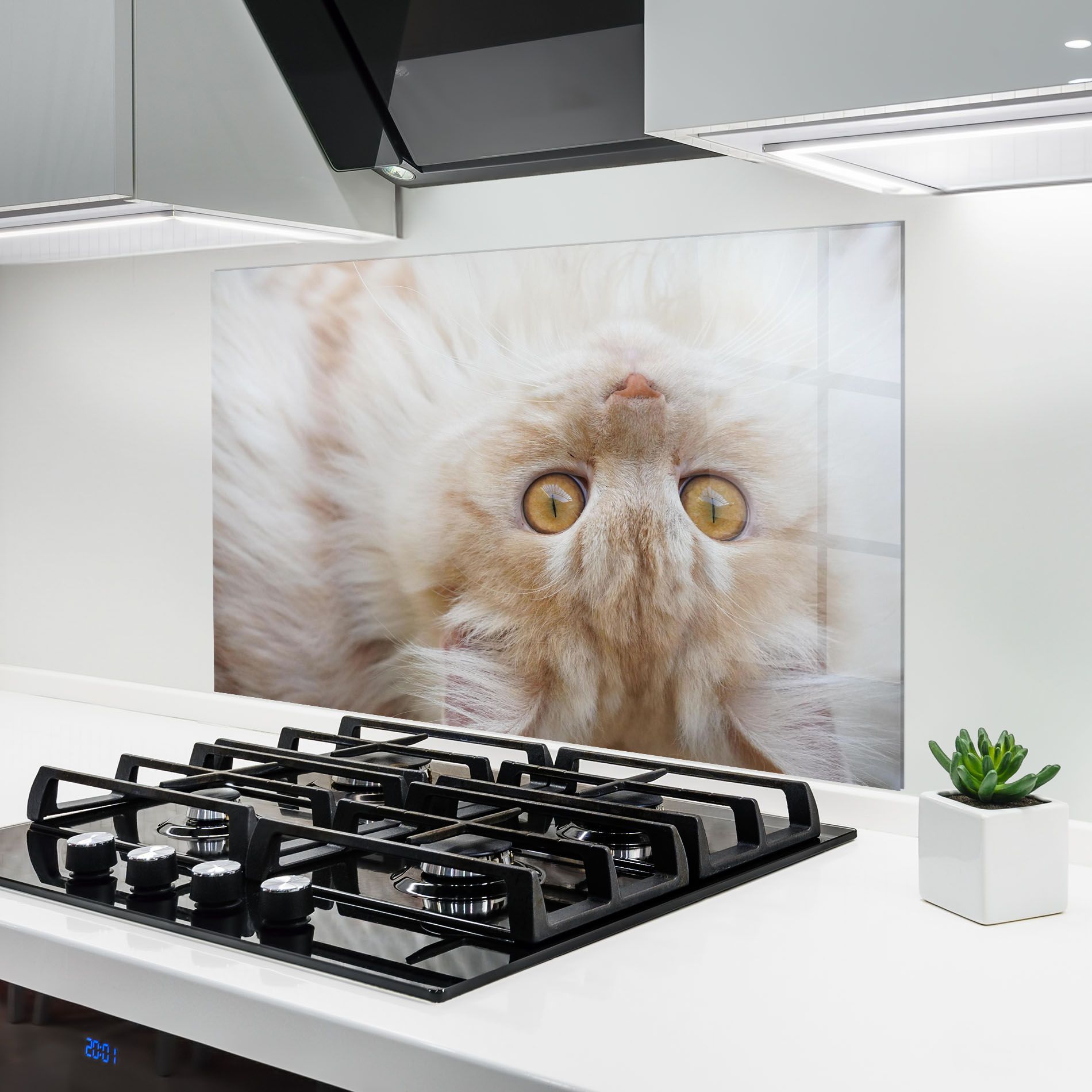 Close Up Yellow Eyes Cat mockup 6