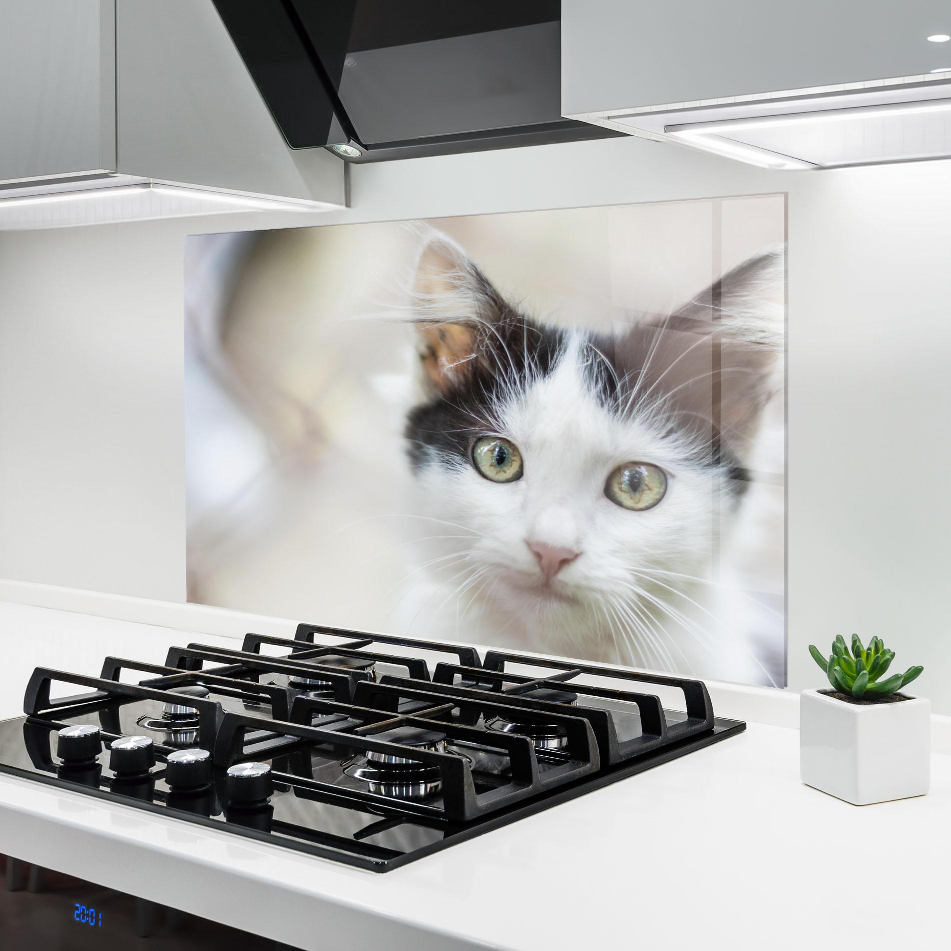 Küchenrückwand Glas Cutie Cat mockup 6