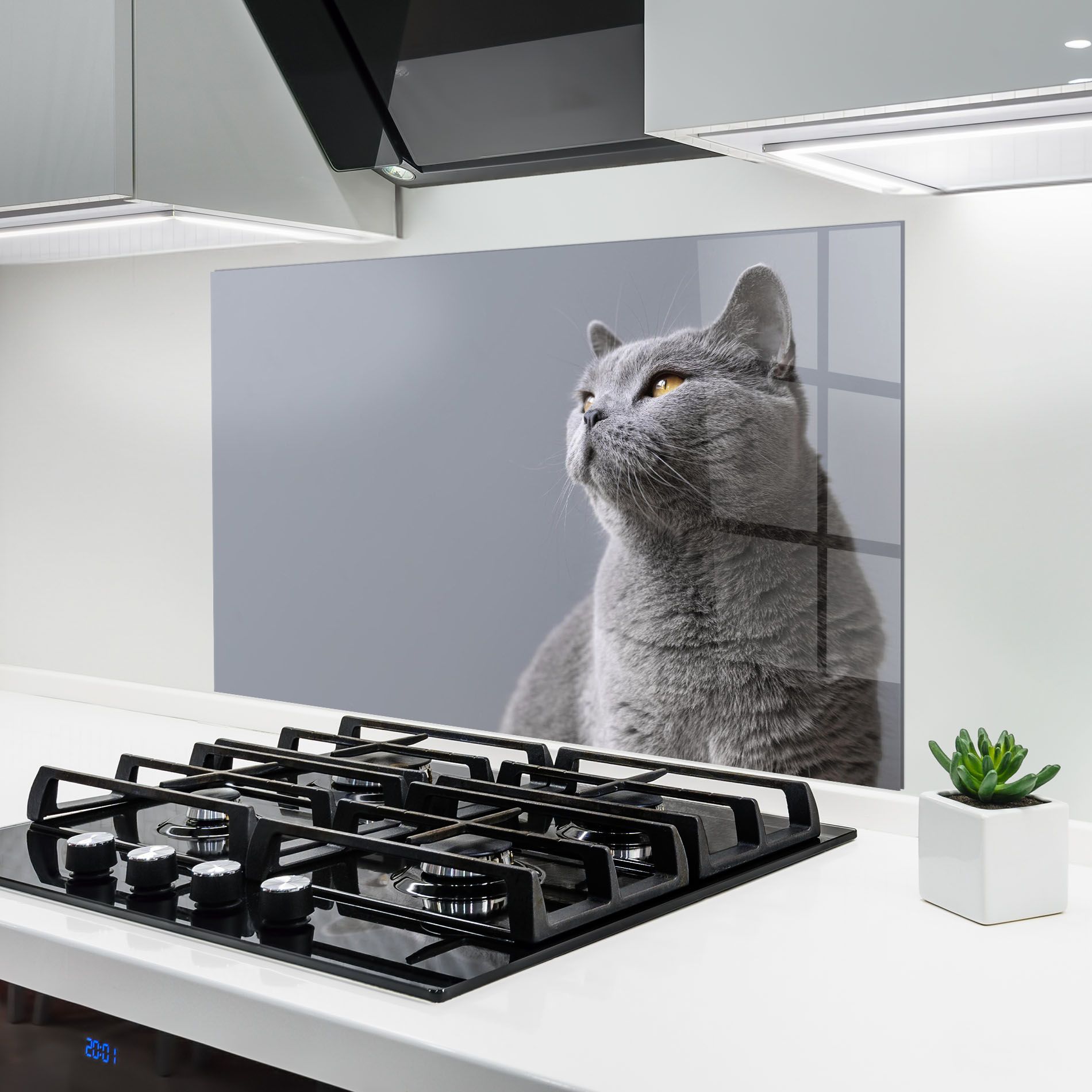 Gray Kitty mockup 6