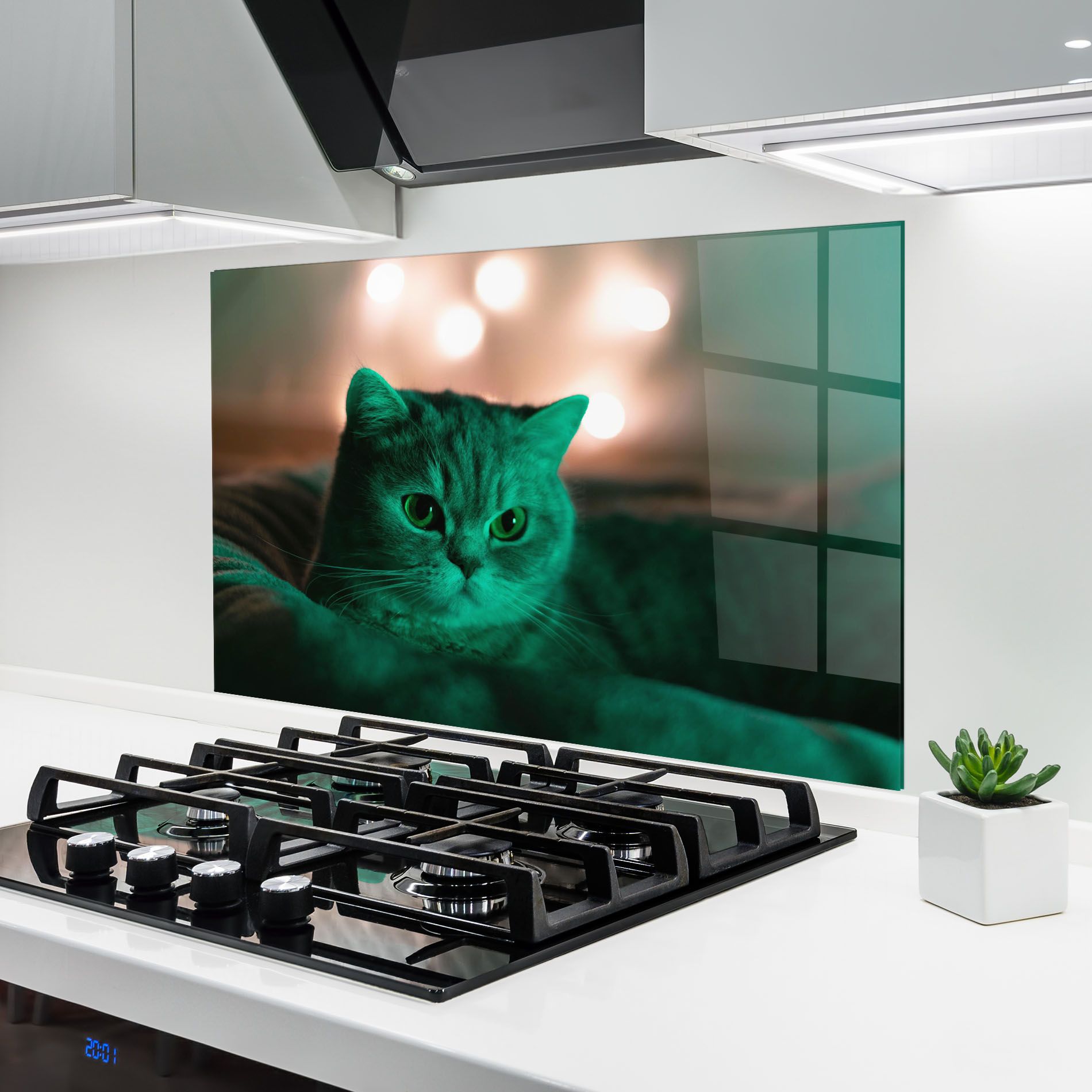 Green Light Cat mockup 6