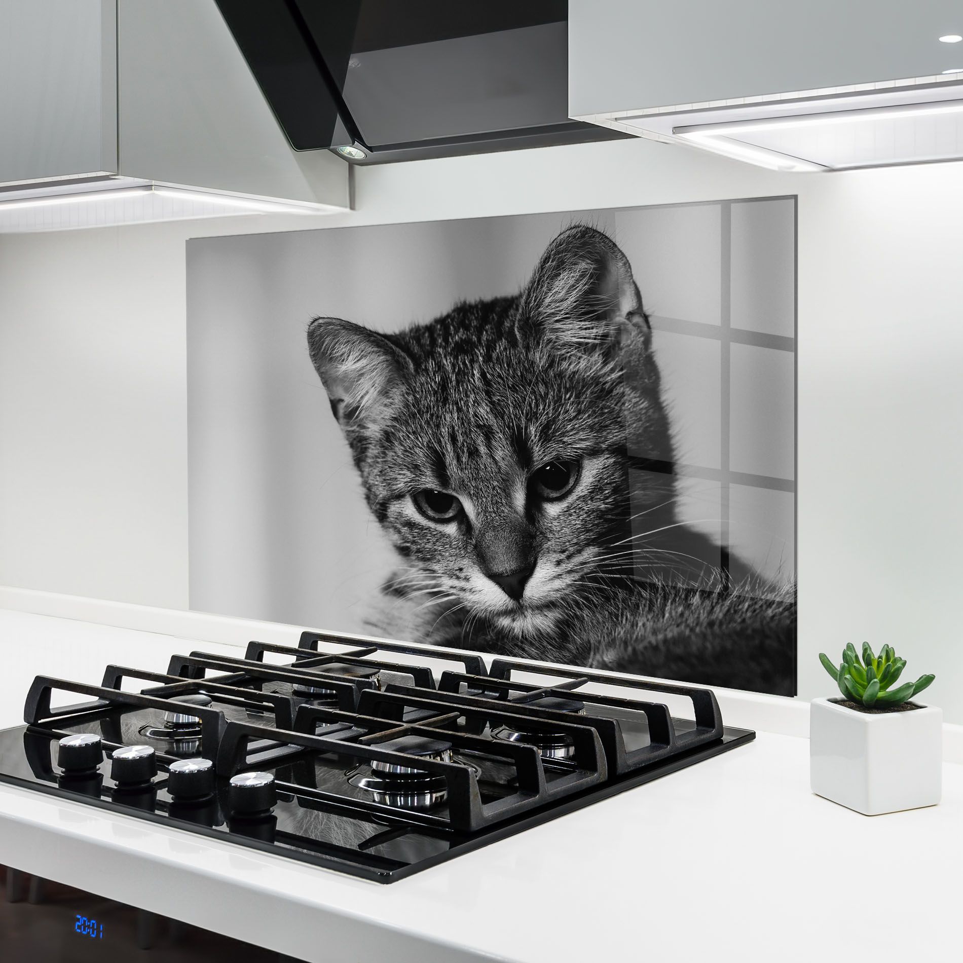 Grey Focused Cat mockup 6