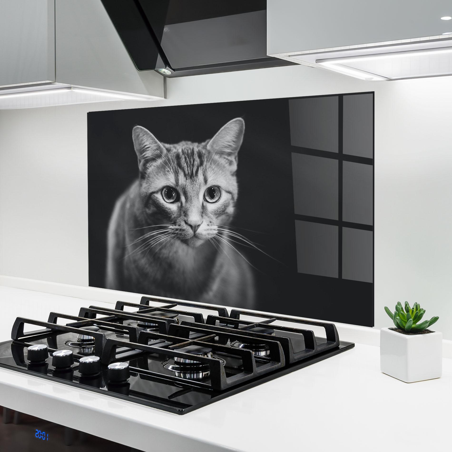 Küchenrückwand Glas Grey Kitty On Black mockup 6
