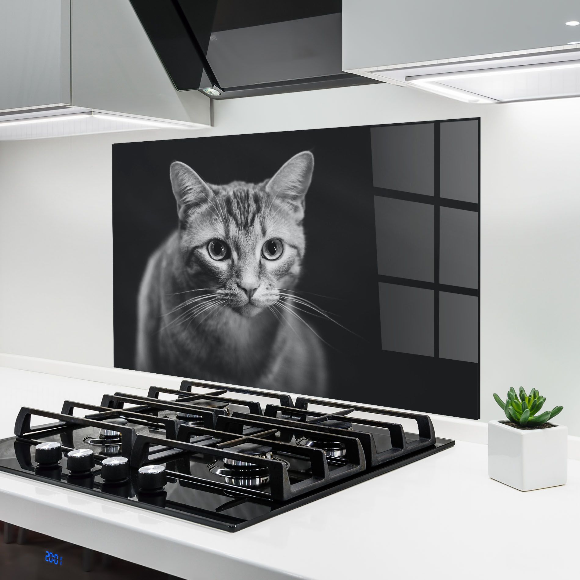 Grey Kitty On Black mockup 6