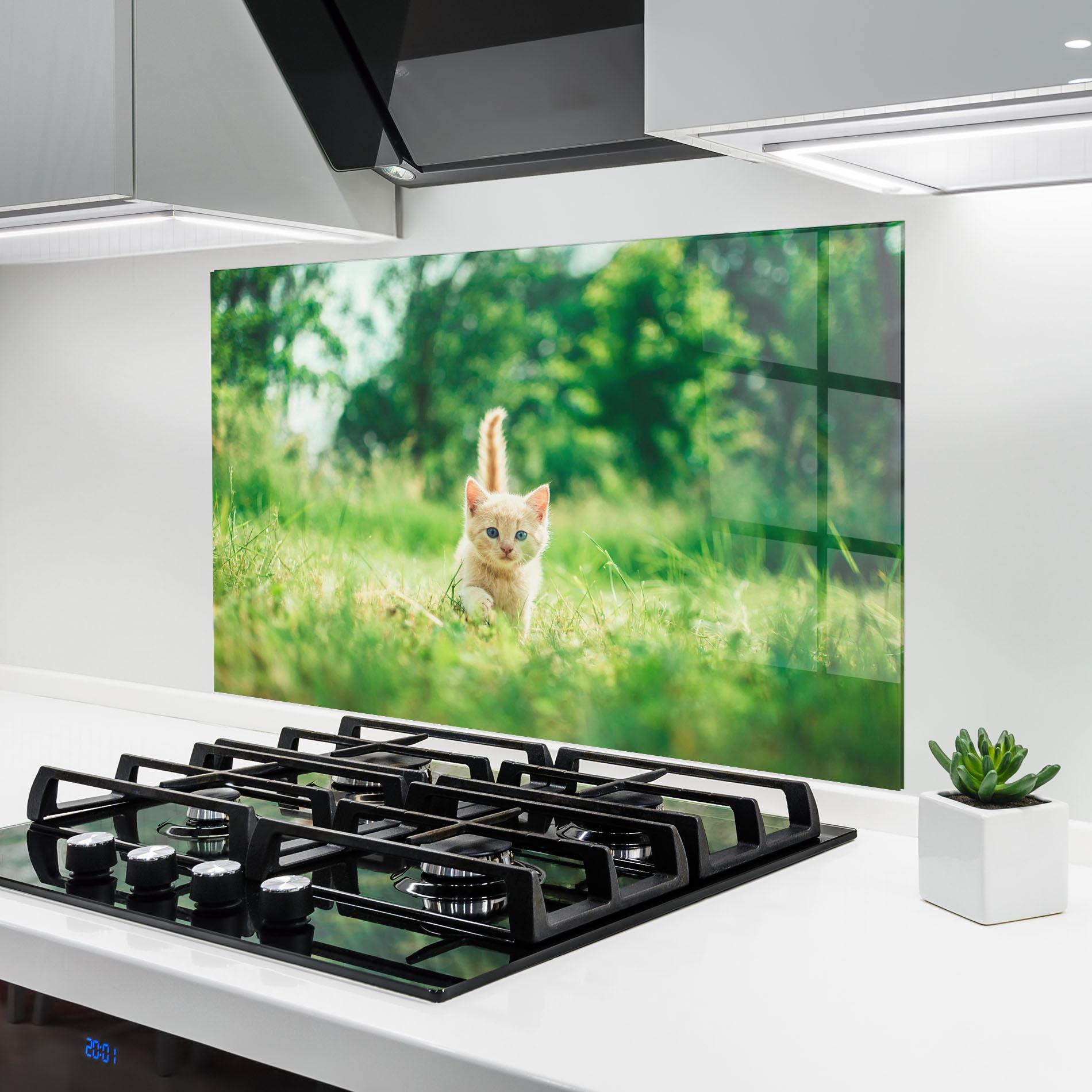 Küchenrückwand Glas Little Cute Cat mockup 6