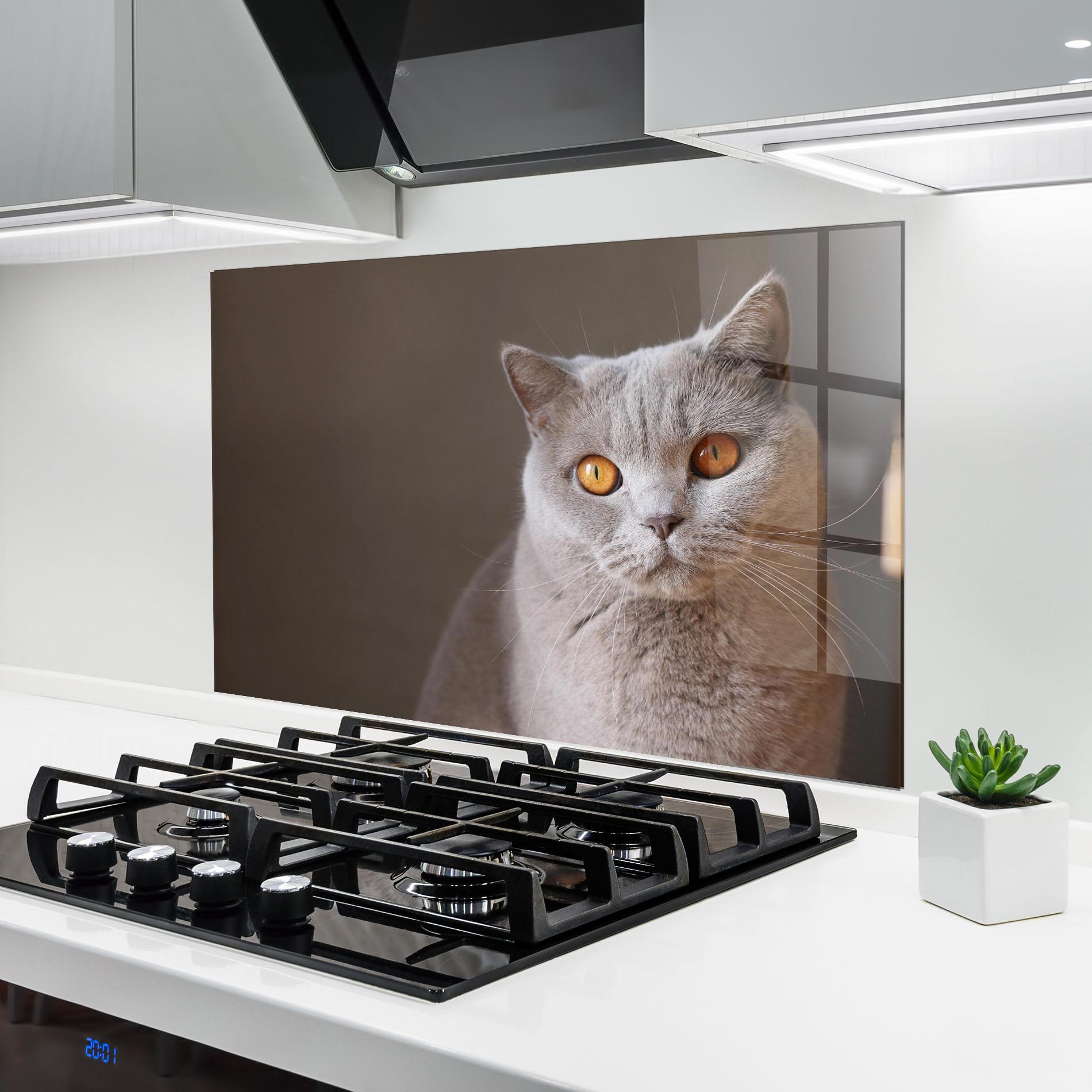 Küchenrückwand Glas Orange Eyes Cat mockup 6