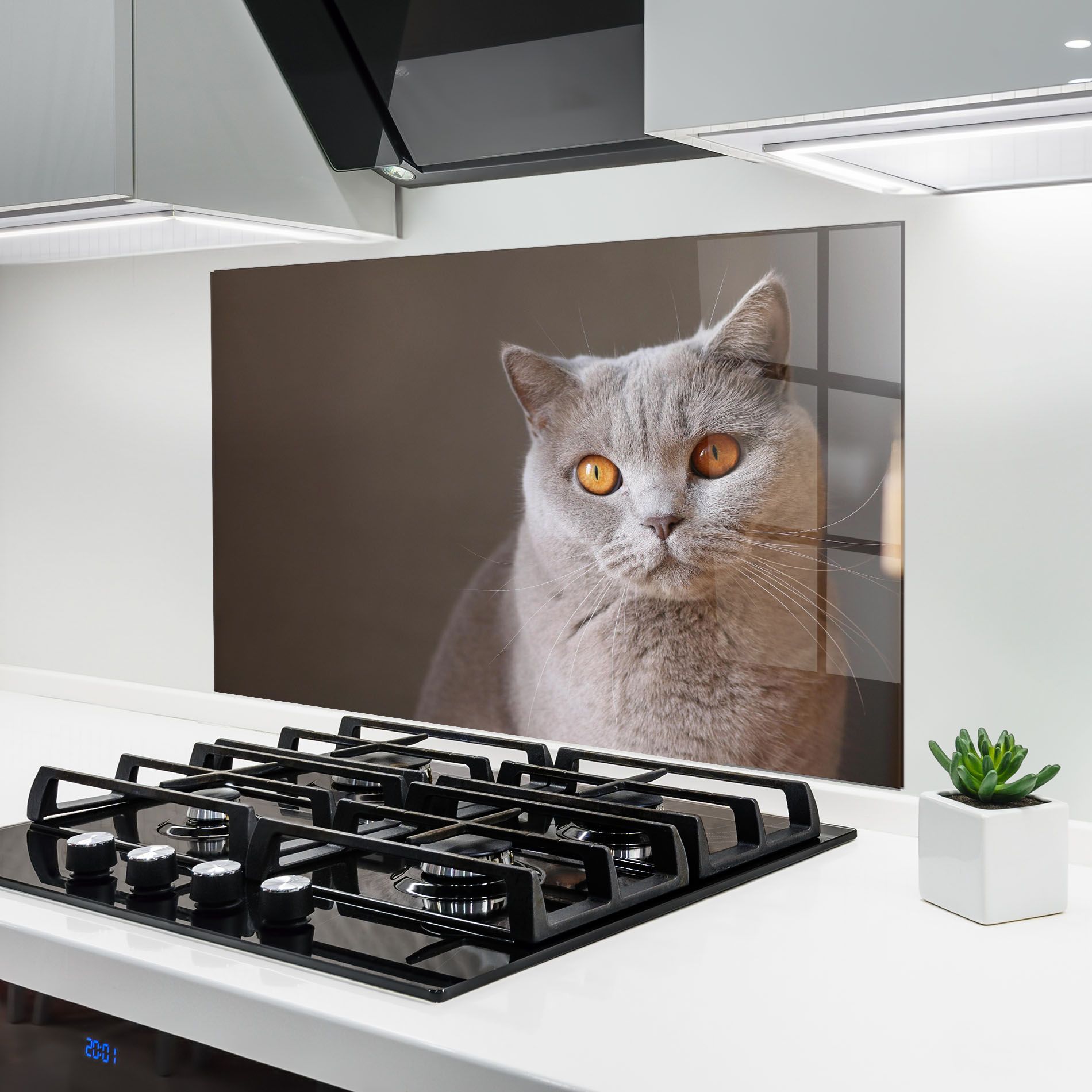 Orange Eyes Cat mockup 6