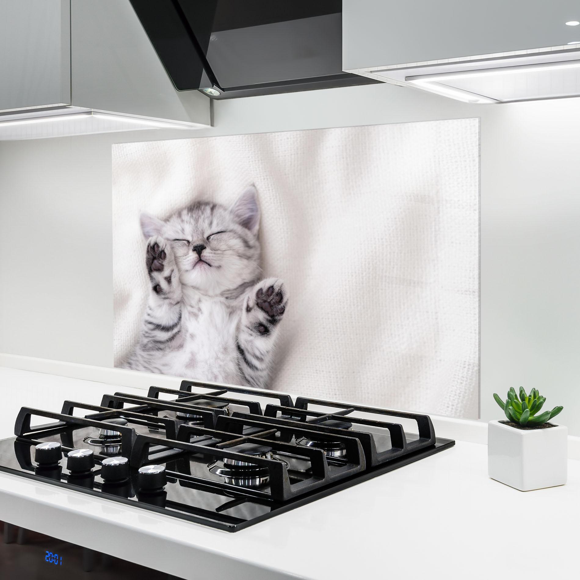 Küchenrückwand Glas Pretty Baby Cat mockup 6