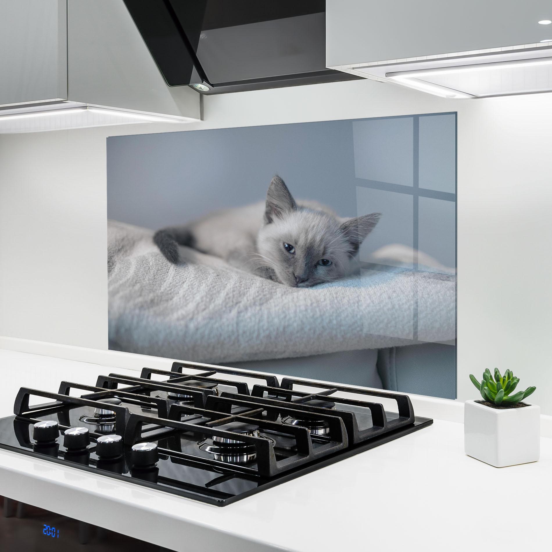 Küchenrückwand Glas Sleepy Grey Cat mockup 6