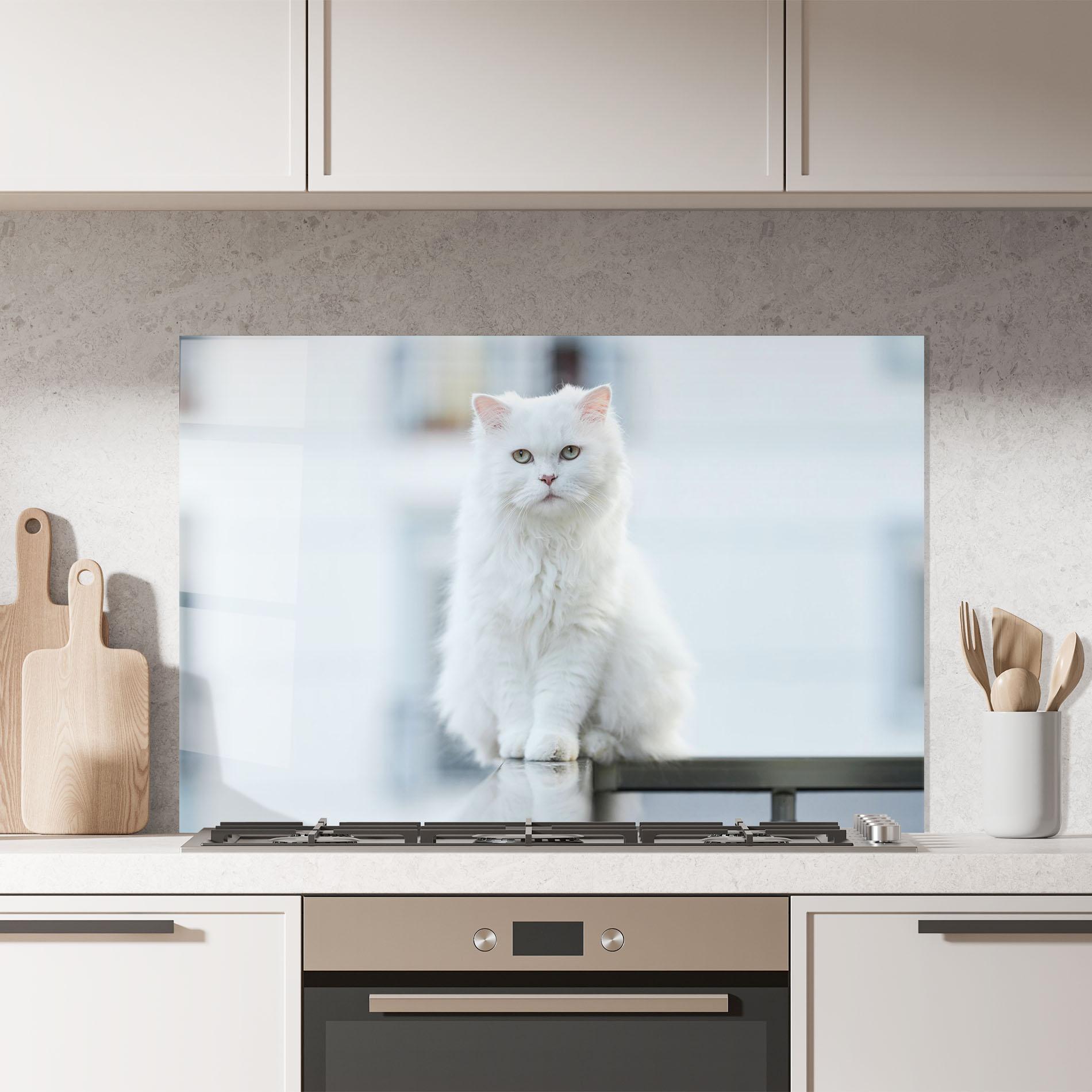 Küchenrückwand Glas Big White Cat mockup 7