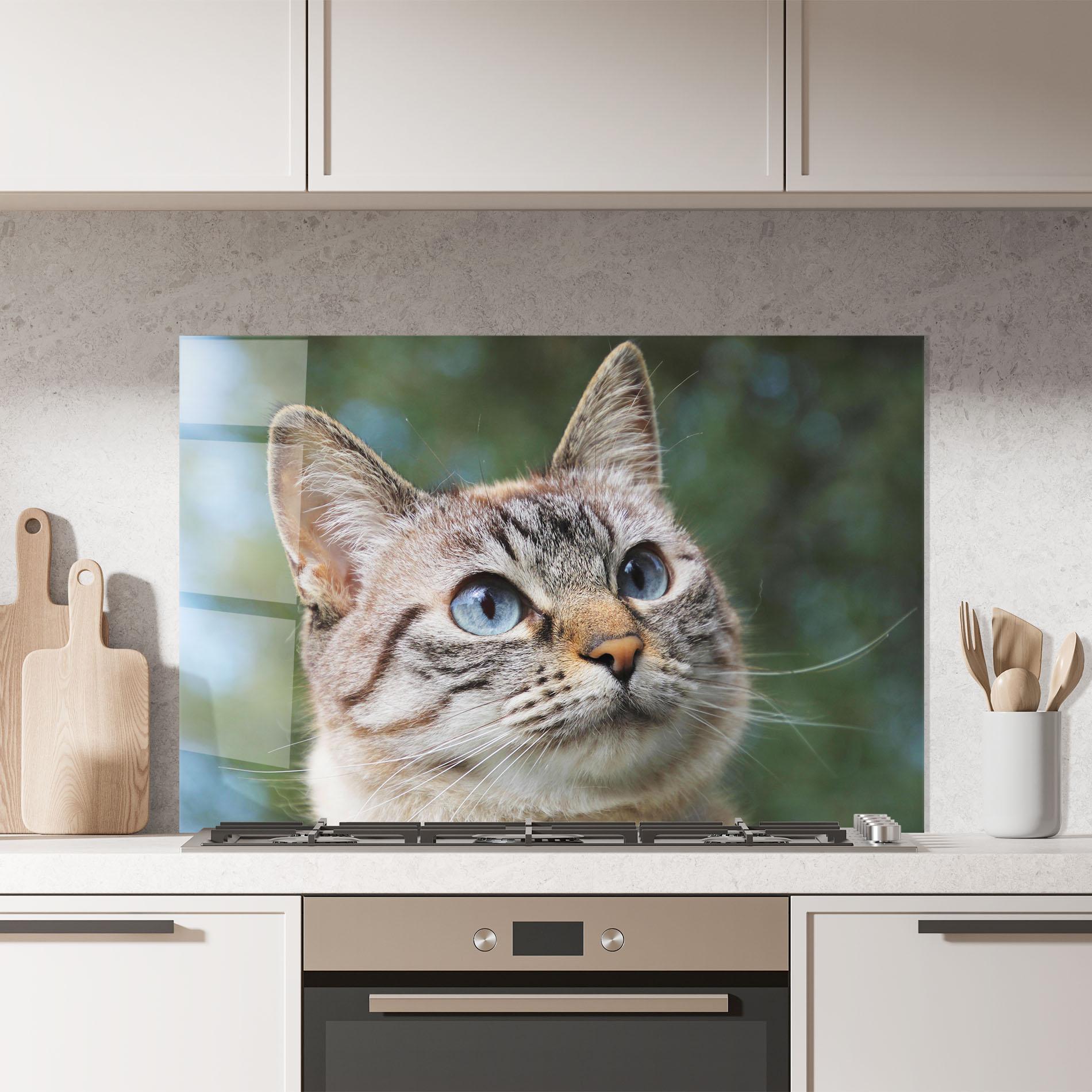 Küchenrückwand Glas Blue Eyes Cutie mockup 7
