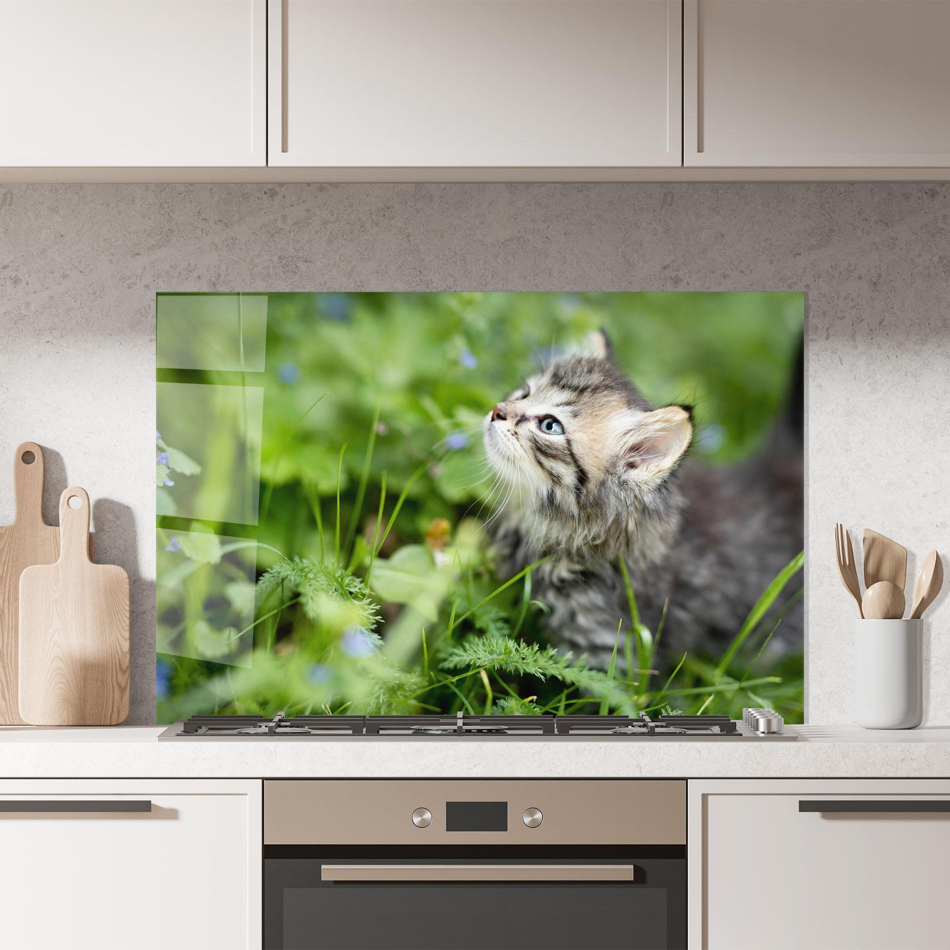 Küchenrückwand Glas Brown Baby Cat mockup 7