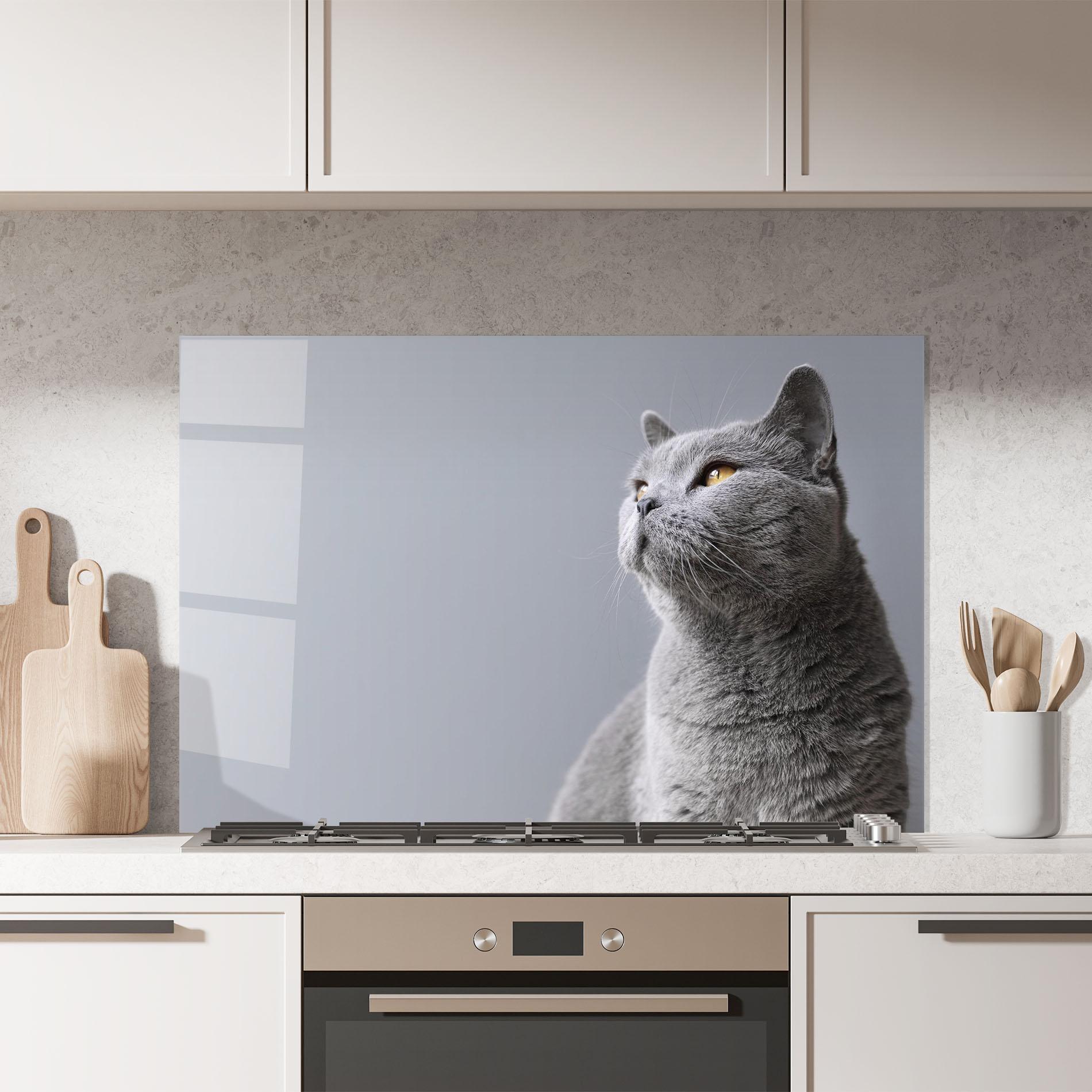 Küchenrückwand Glas Gray Kitty mockup 7