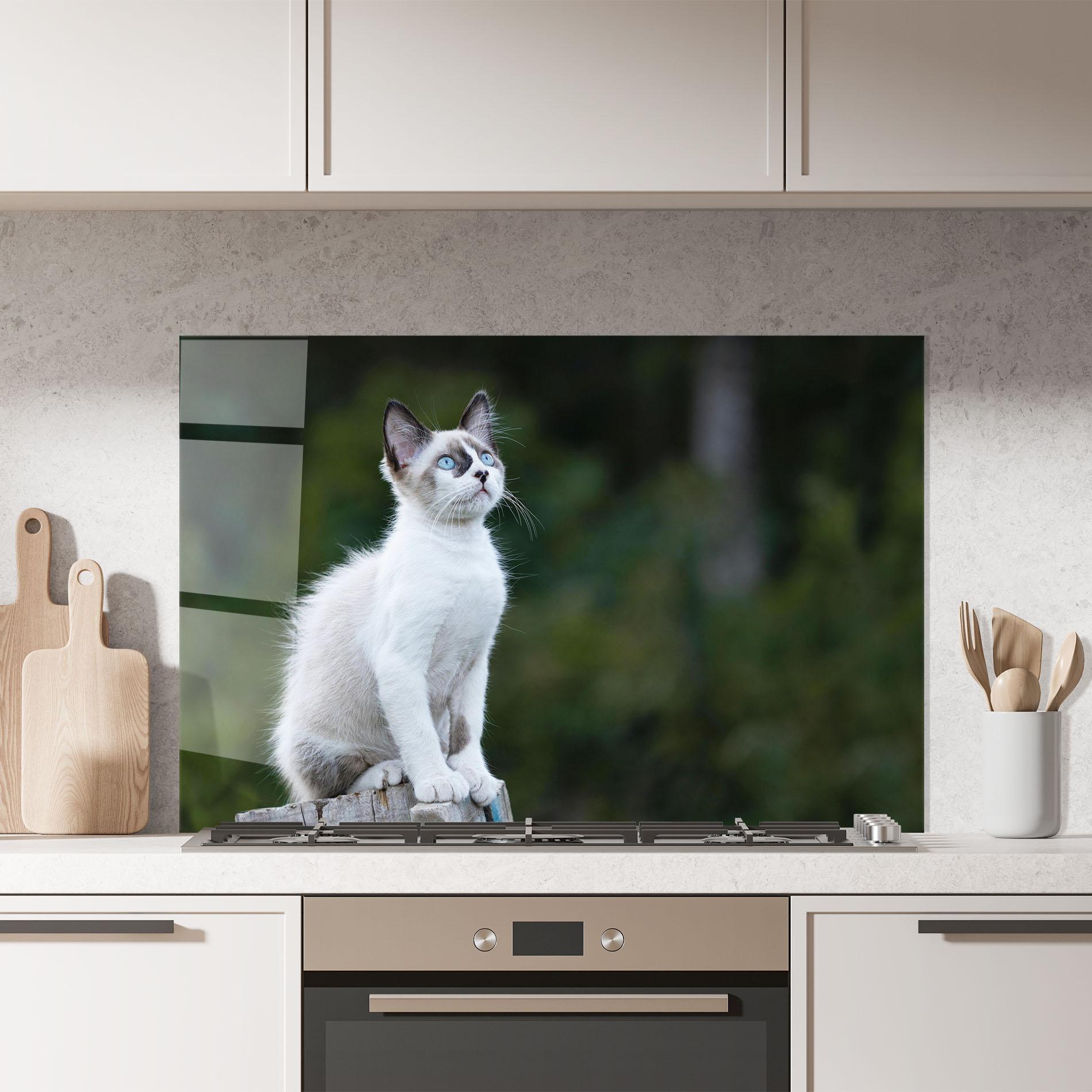 Küchenrückwand Glas Grey Cat In Nature mockup 7