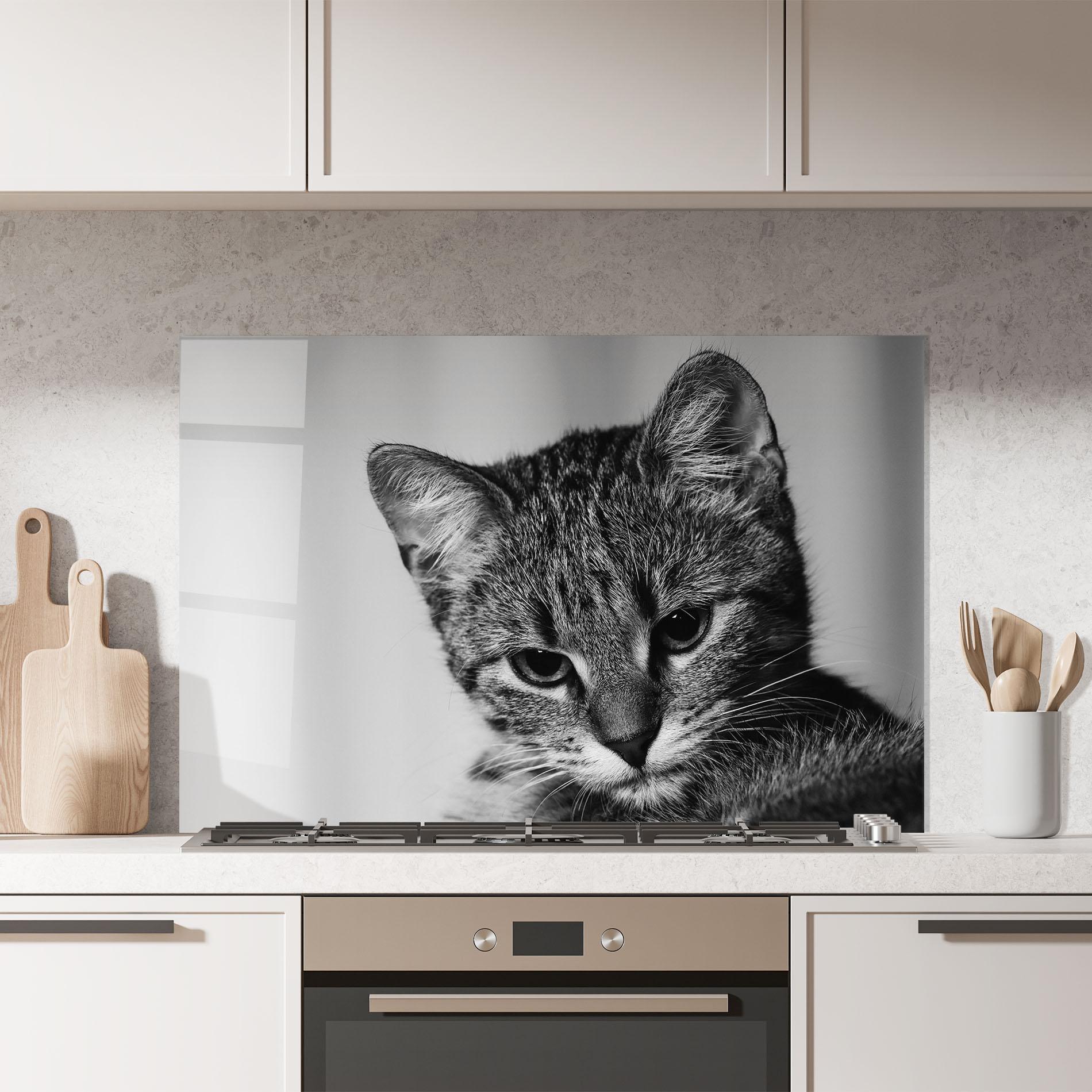 Küchenrückwand Glas Grey Focused Cat mockup 7
