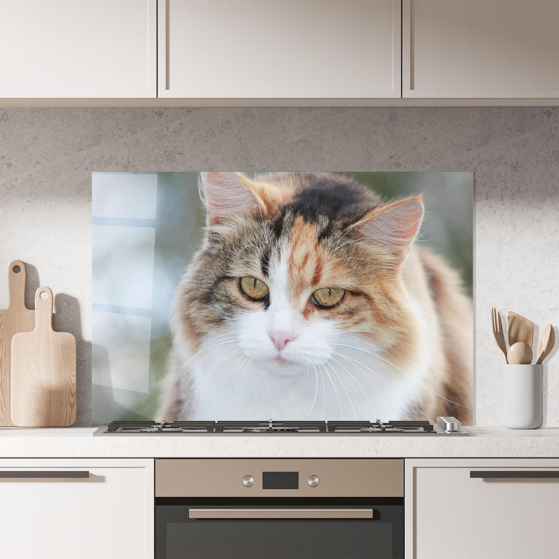 Küchenrückwand Glas Orange Brown Cat mockup 7
