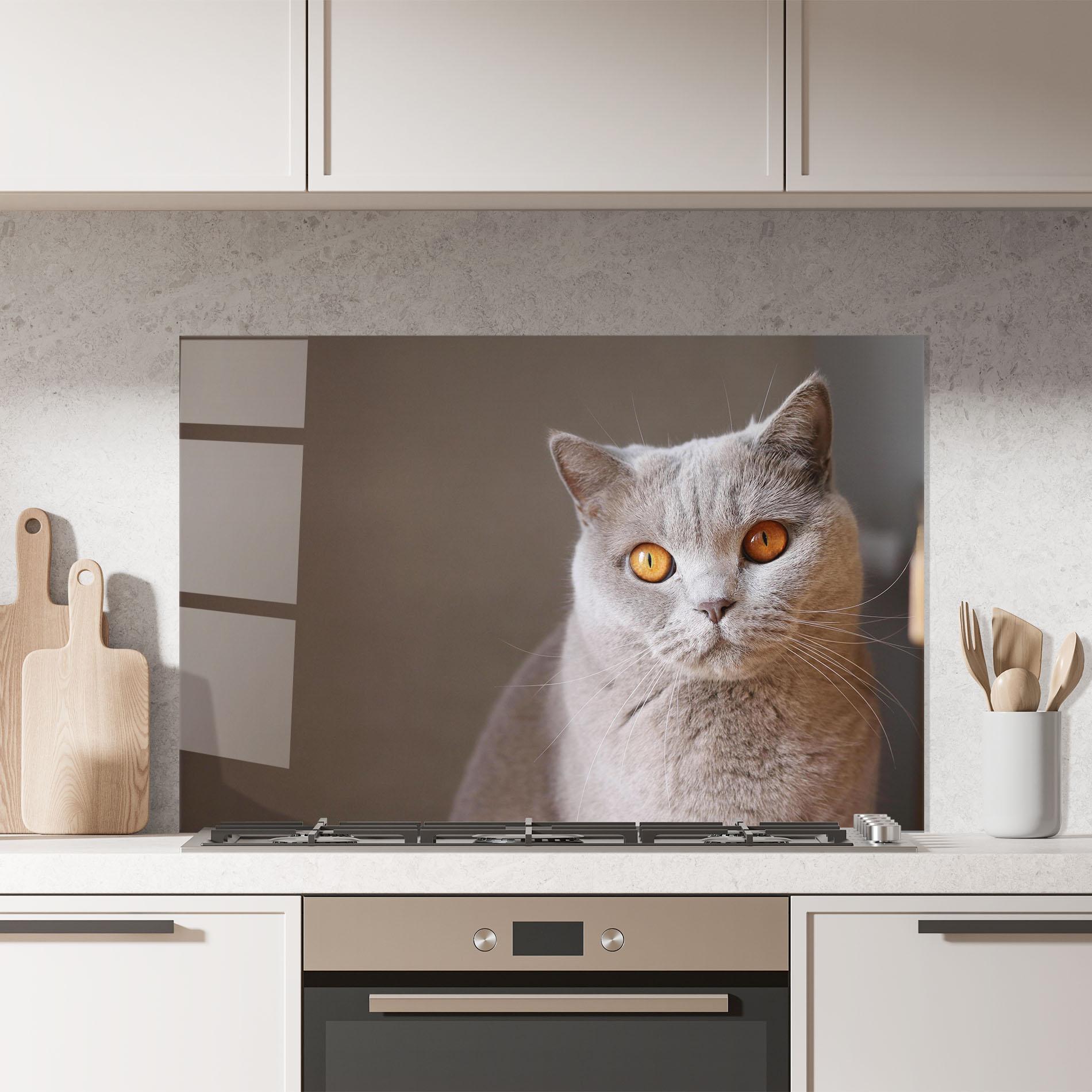 Küchenrückwand Glas Orange Eyes Cat mockup 7