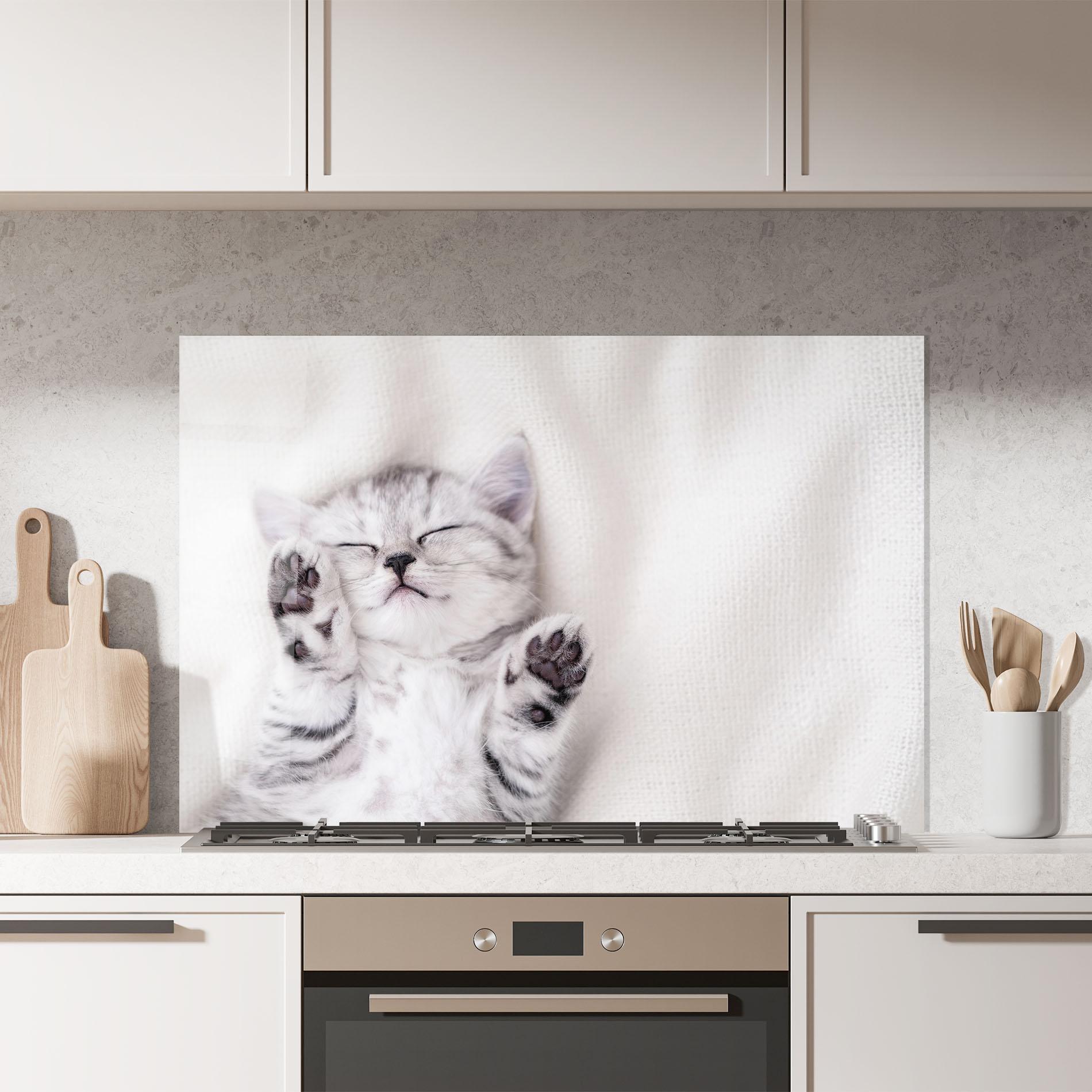 Küchenrückwand Glas Pretty Baby Cat mockup 7