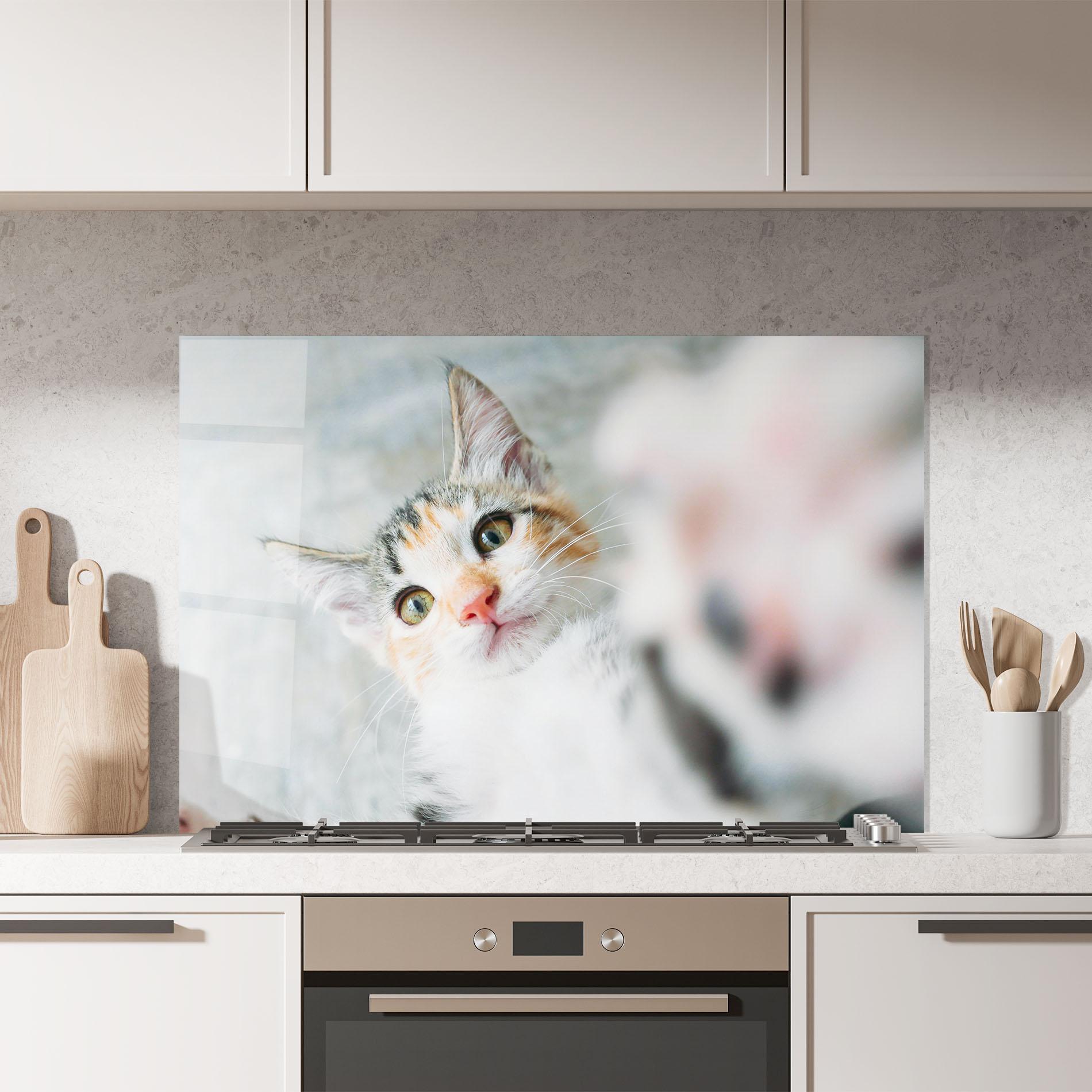 Küchenrückwand Glas Pretty Pink Nose Cat mockup 7