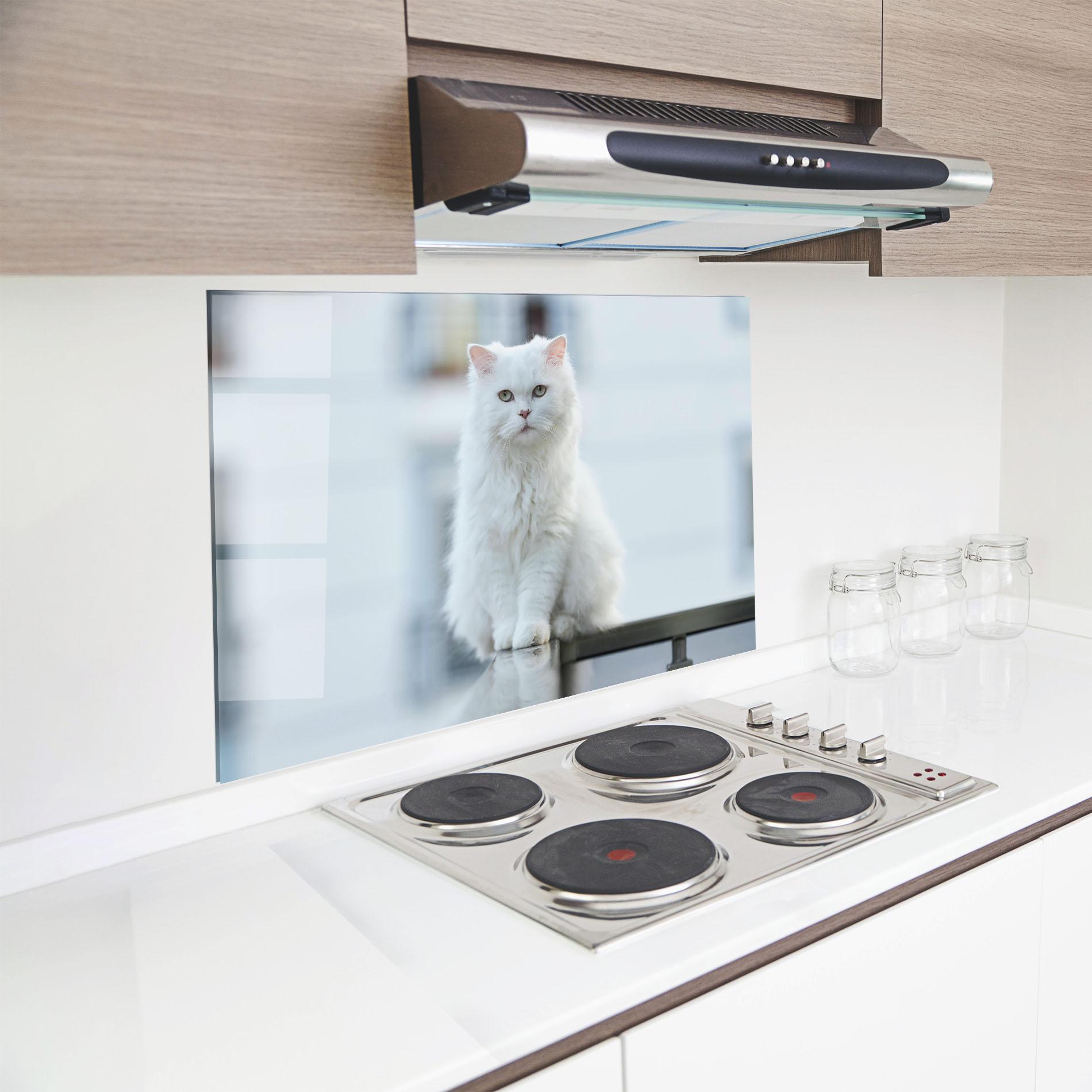 Küchenrückwand Glas Big White Cat mockup 8