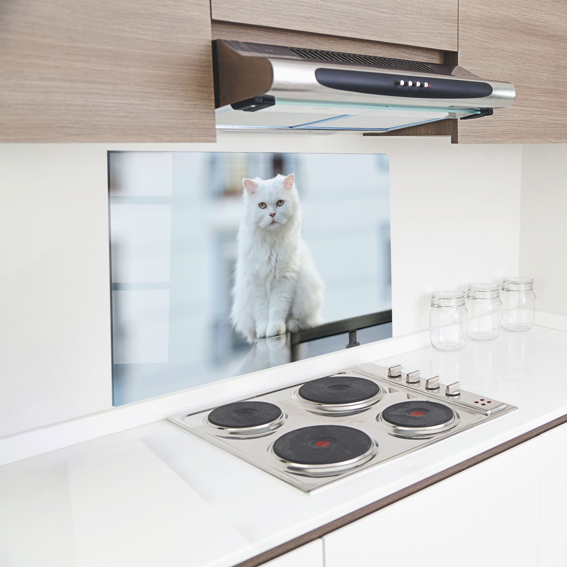 Big White Cat mockup 8