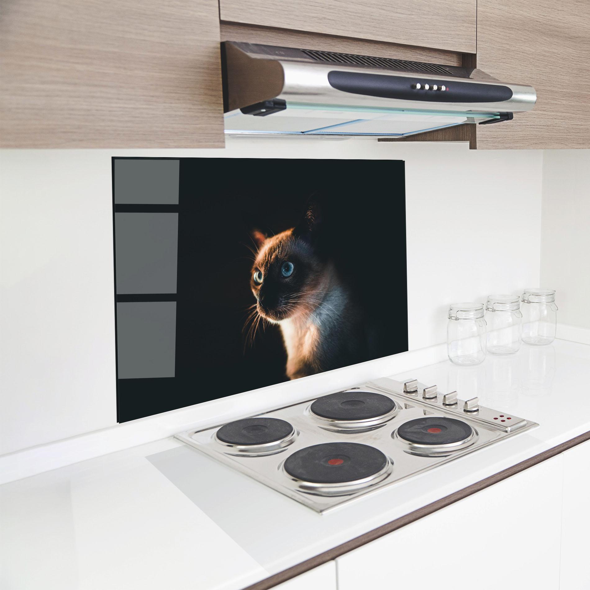 Küchenrückwand Glas Blue Eyes Cat In Dark mockup 8