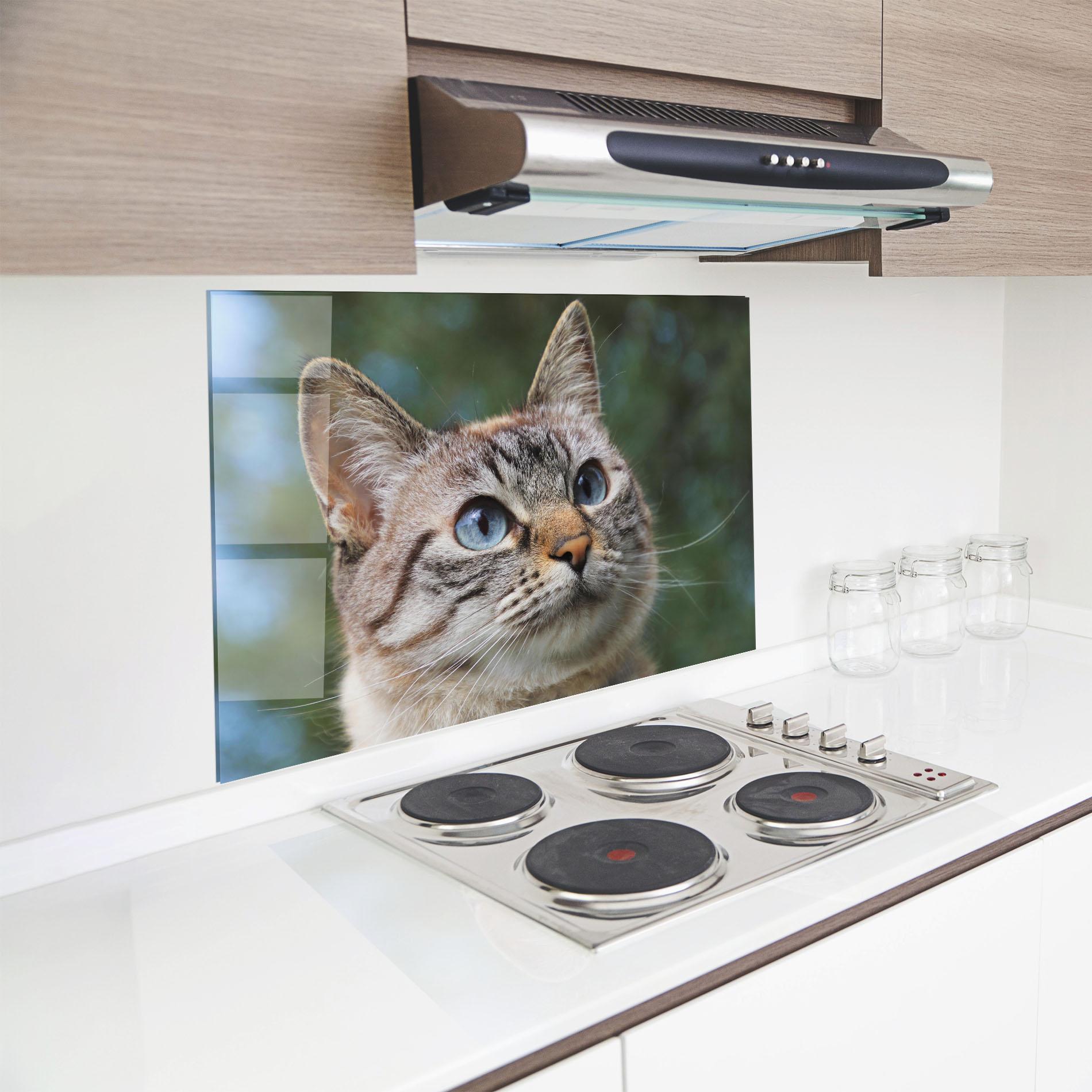 Küchenrückwand Glas Blue Eyes Cutie mockup 8
