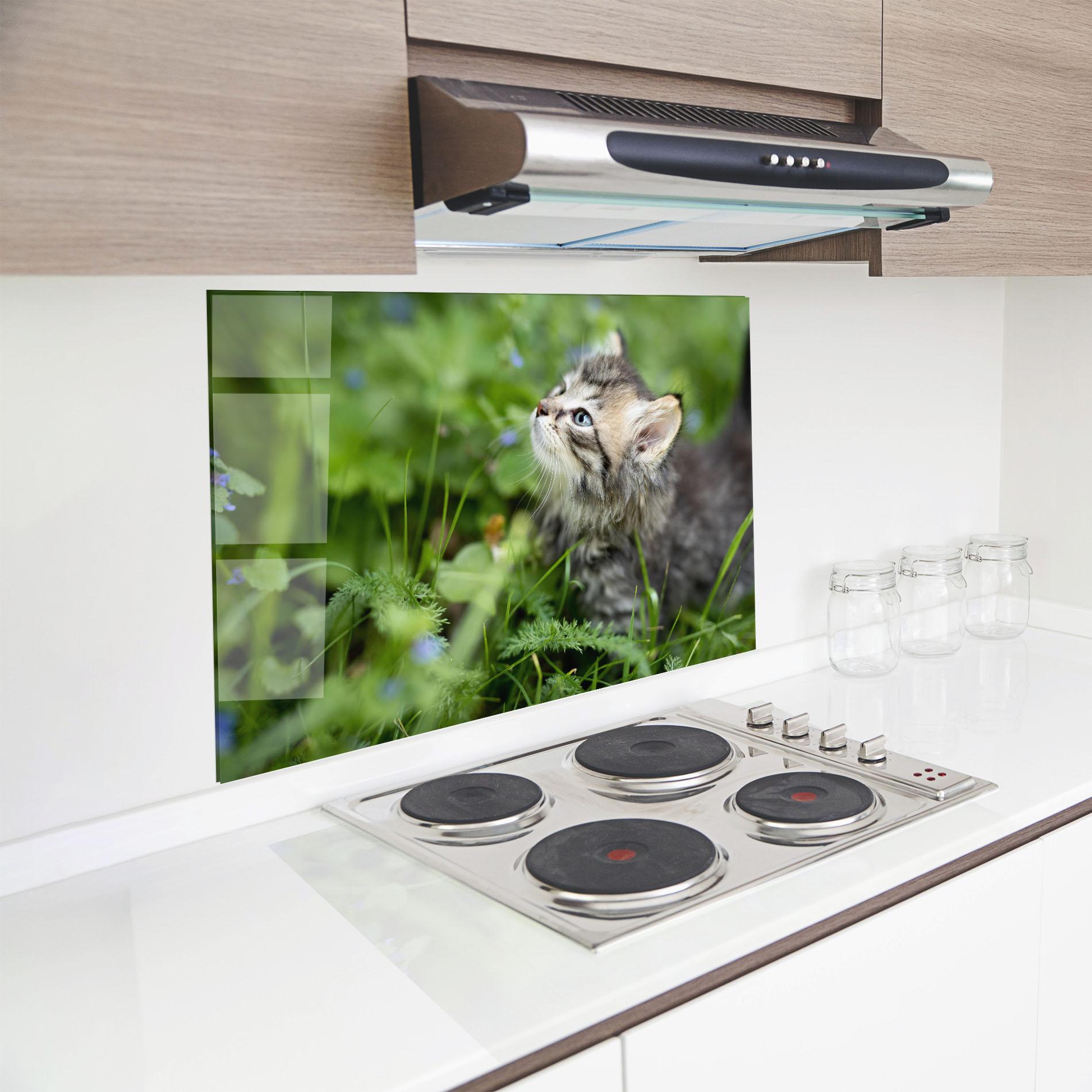 Küchenrückwand Glas Brown Baby Cat mockup 8