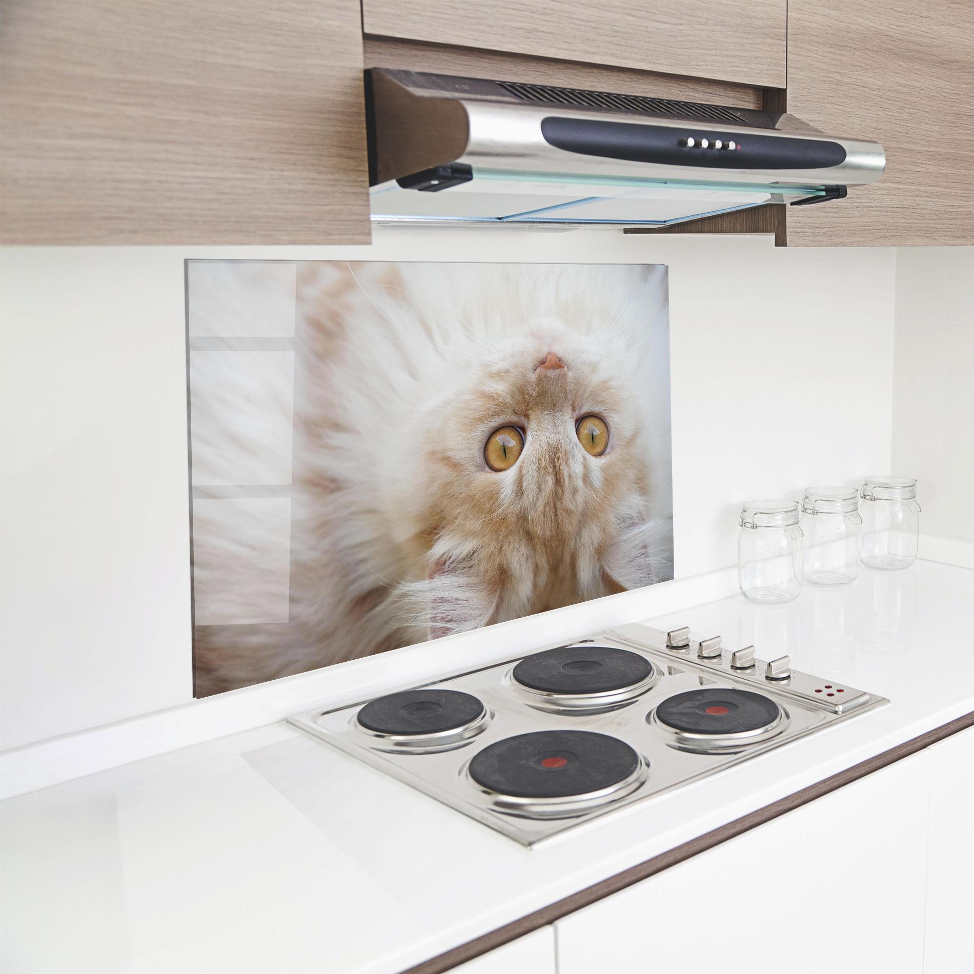 Küchenrückwand Glas Close Up Yellow Eyes Cat mockup 8