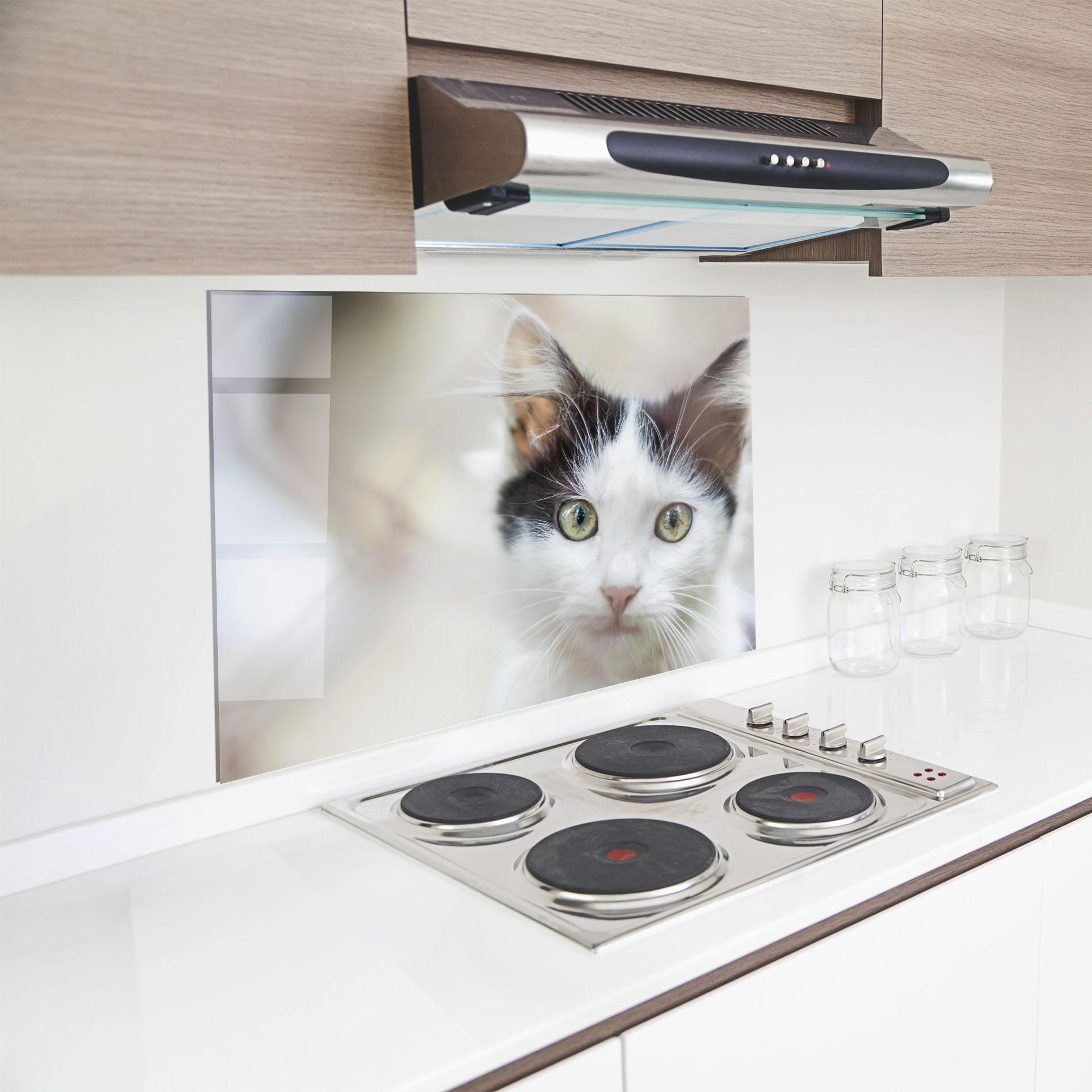 Küchenrückwand Glas Cutie Cat mockup 8