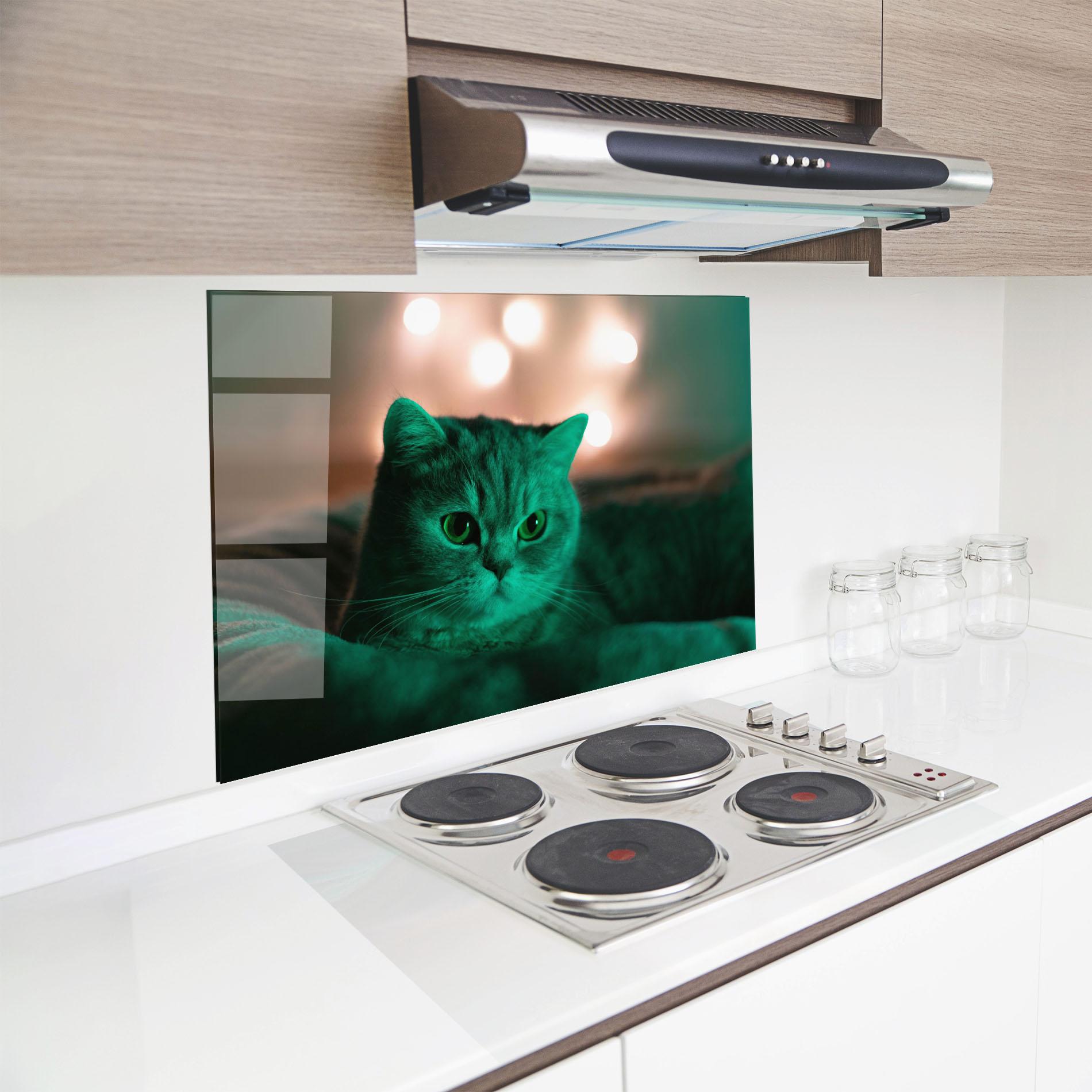 Küchenrückwand Glas Green Light Cat mockup 8