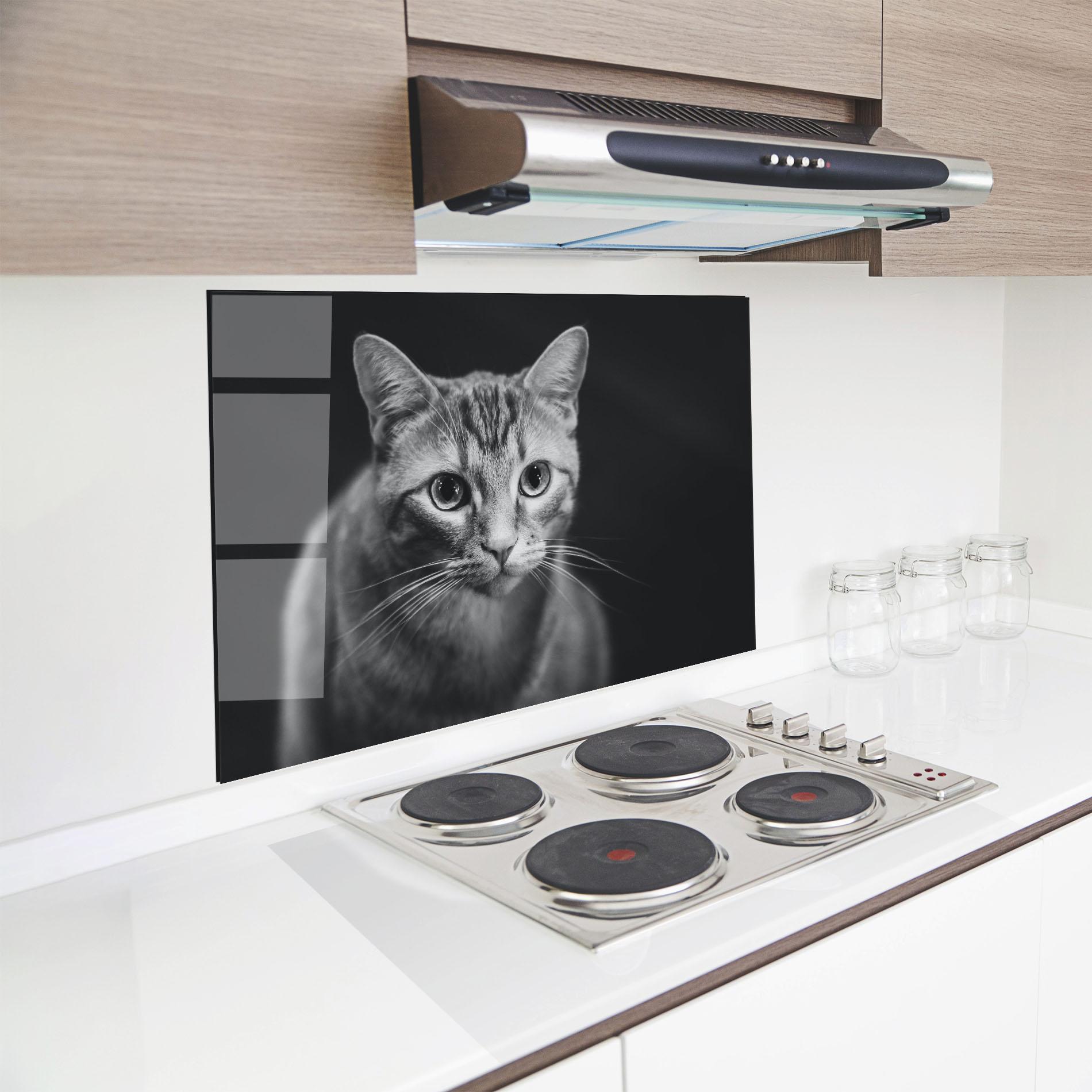 Küchenrückwand Glas Grey Kitty On Black mockup 8