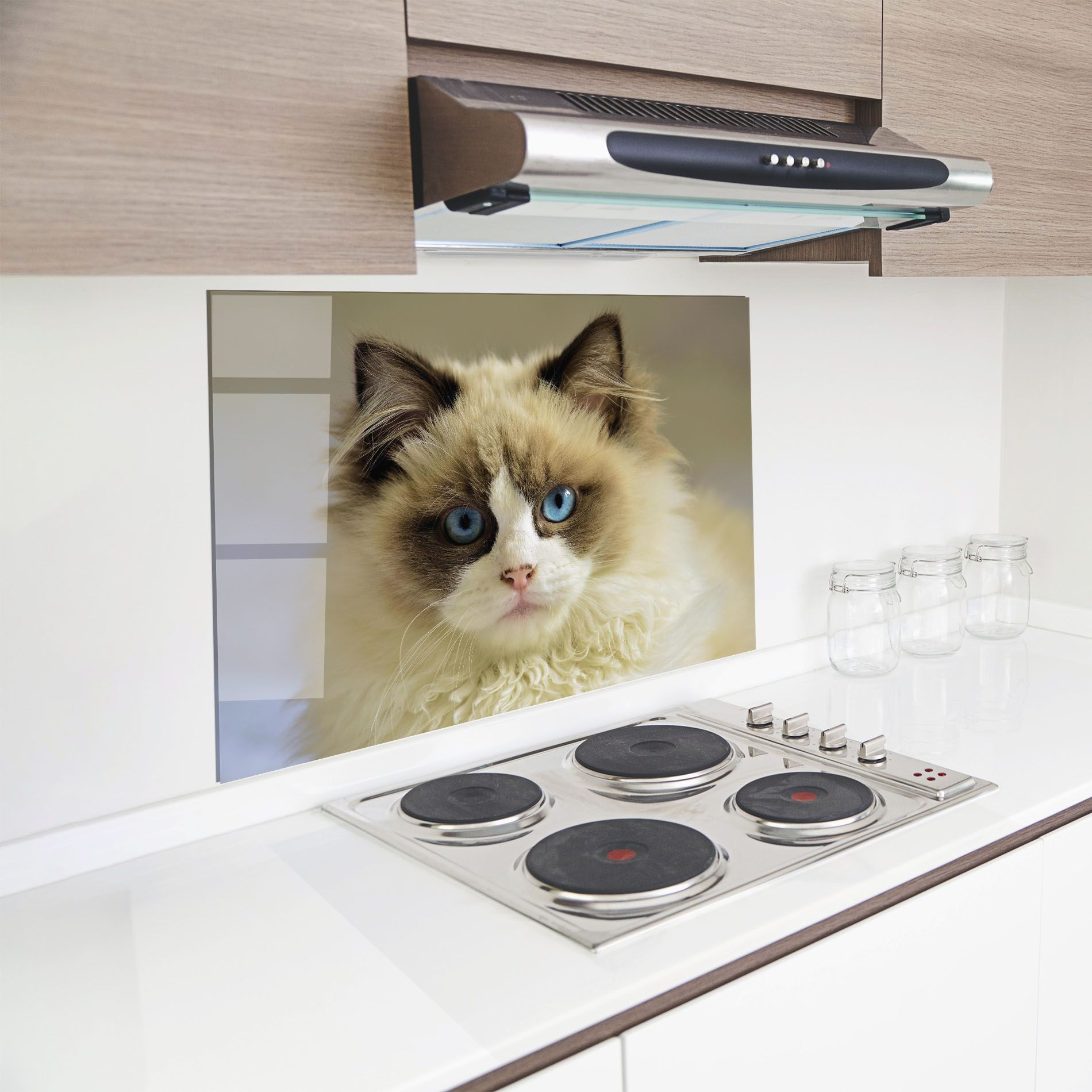 Interesting Blue Eyes Cat mockup 8