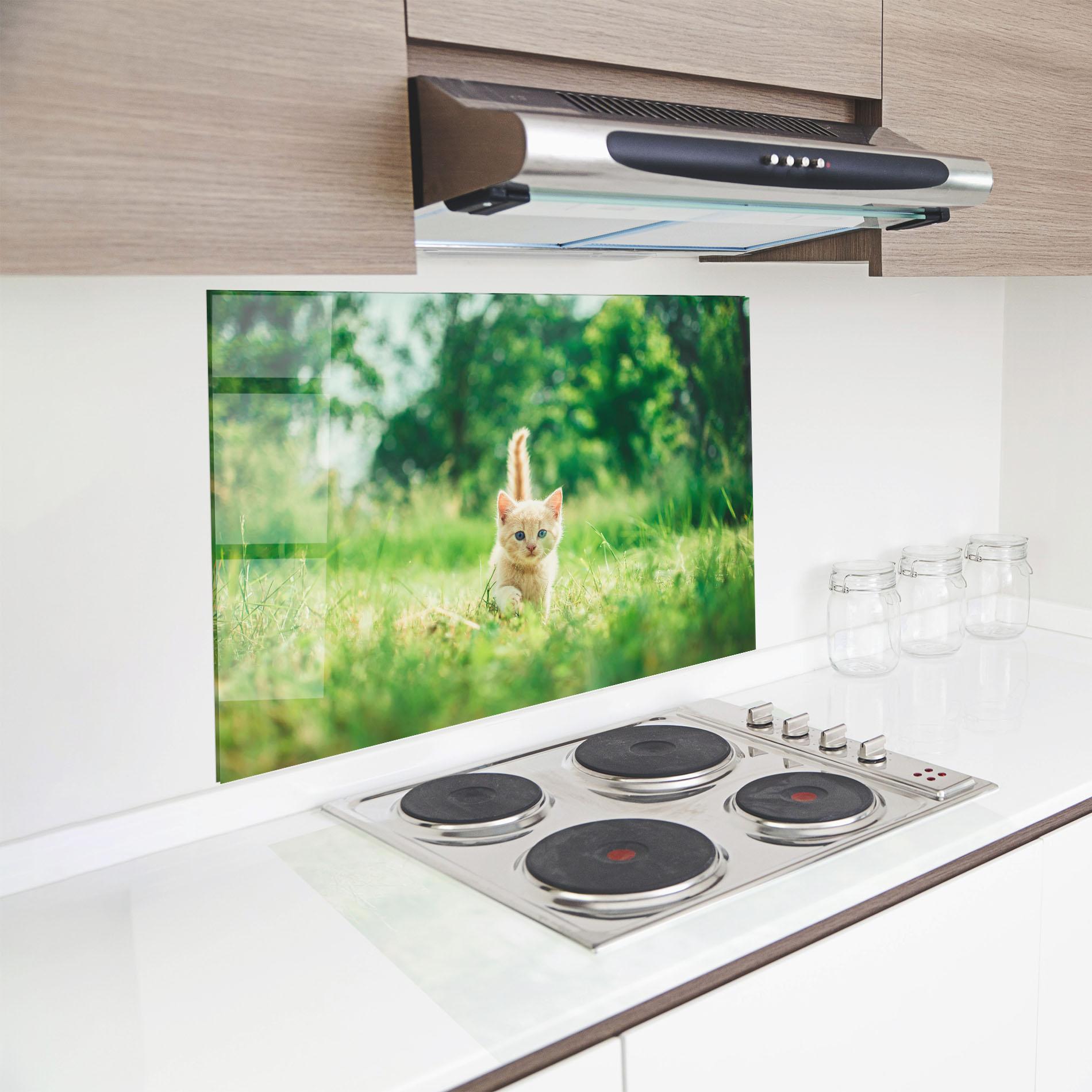 Küchenrückwand Glas Little Cute Cat mockup 8