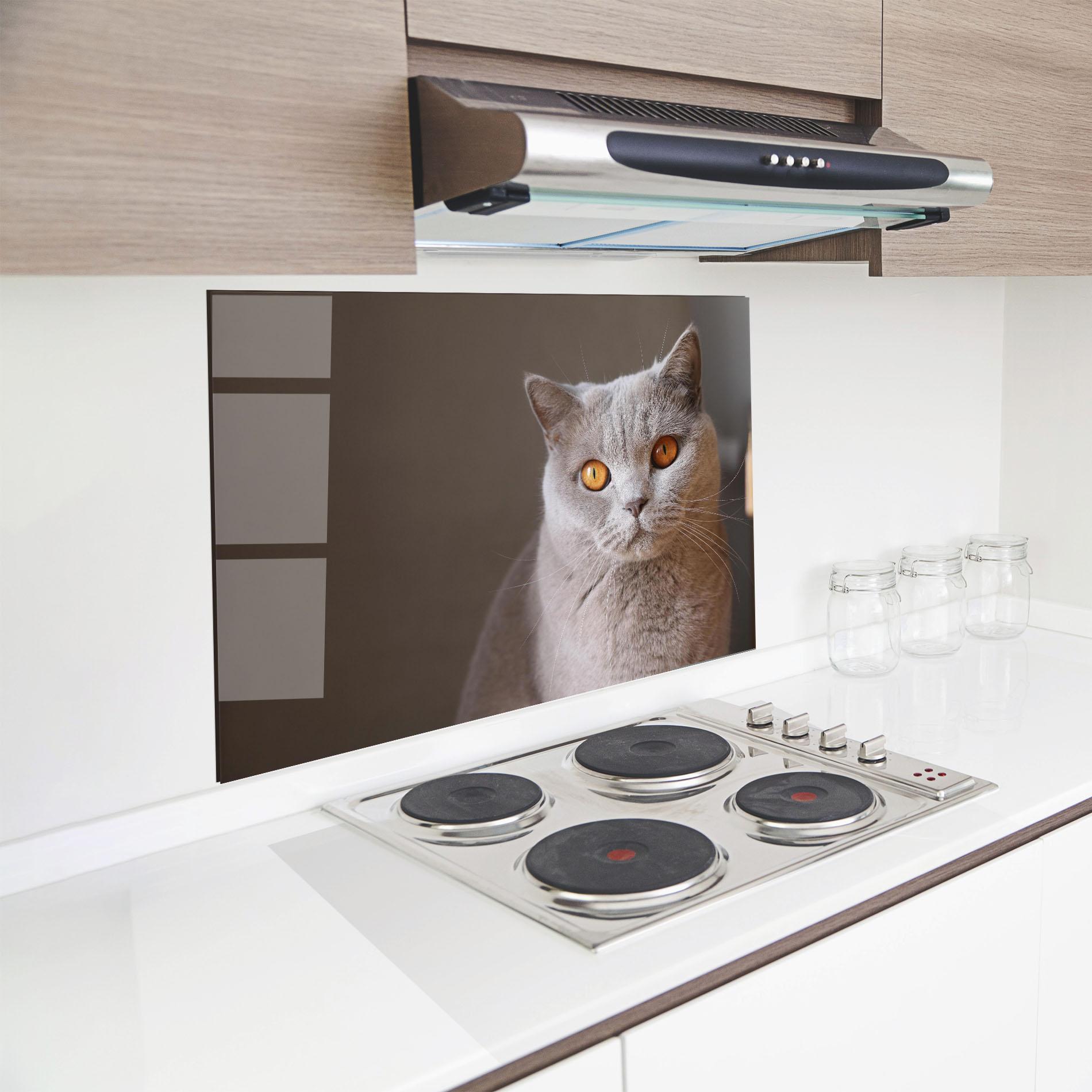 Küchenrückwand Glas Orange Eyes Cat mockup 8