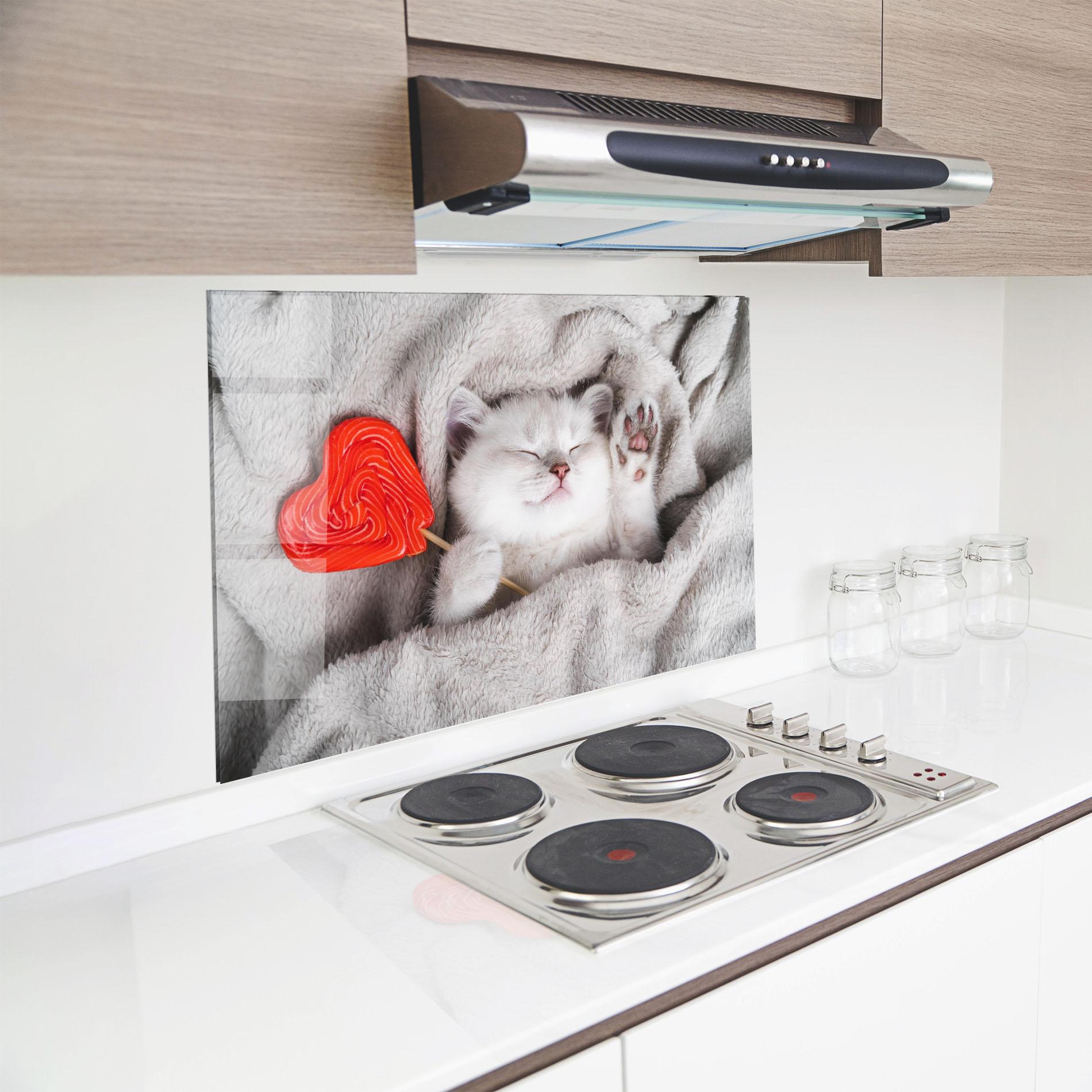 Küchenrückwand Glas Small White Kitten mockup 8