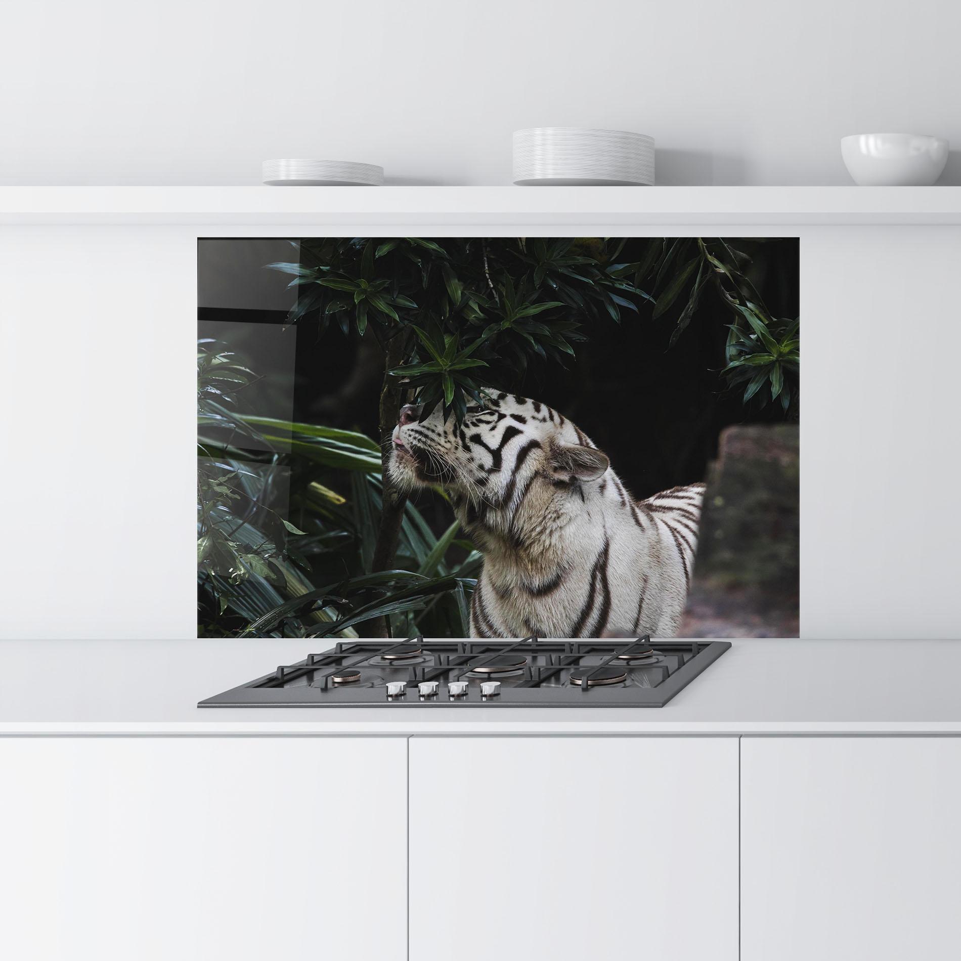 Küchenrückwand Glas White Tiger mockup 9