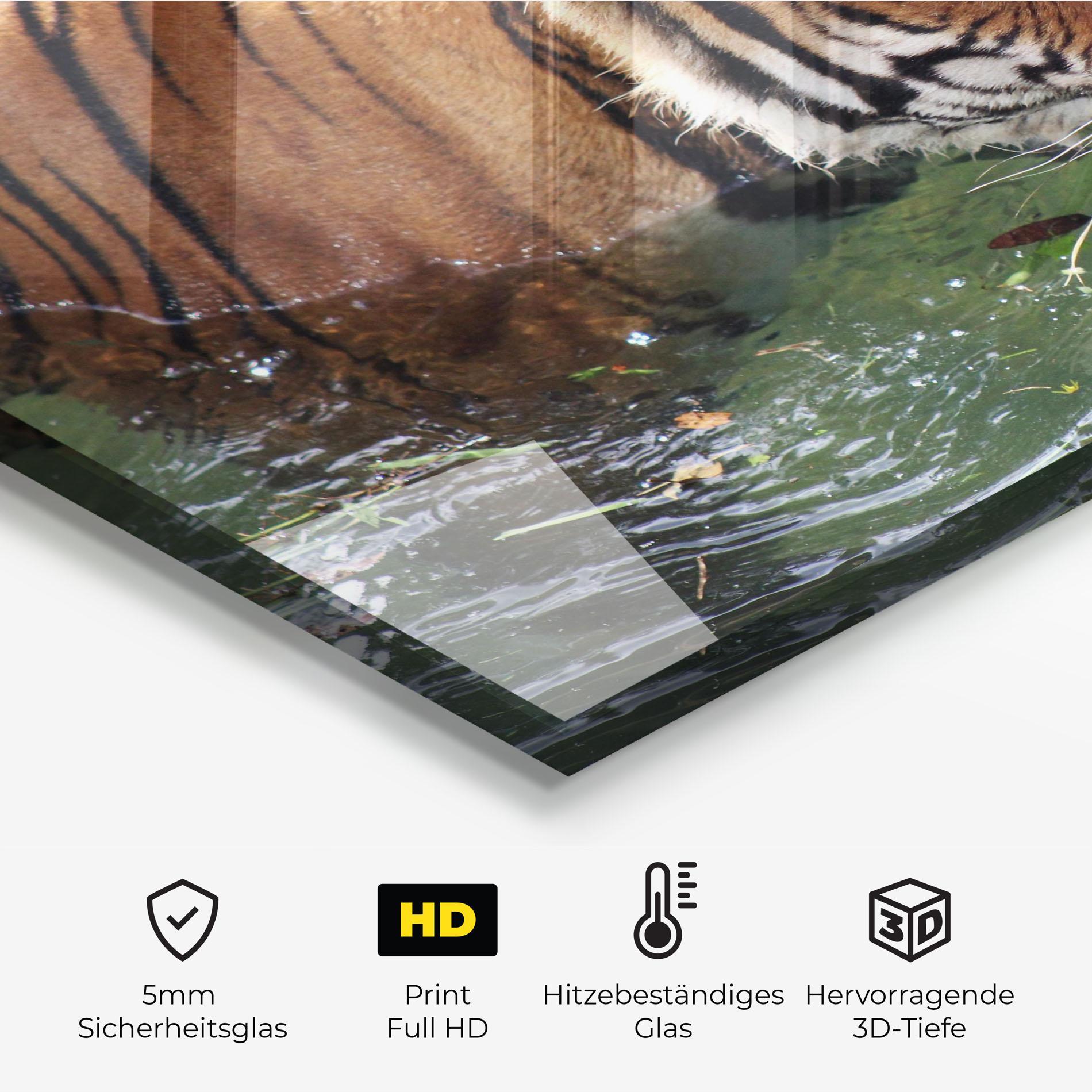 Küchenrückwand Glas Tiger Swimming mockup 2