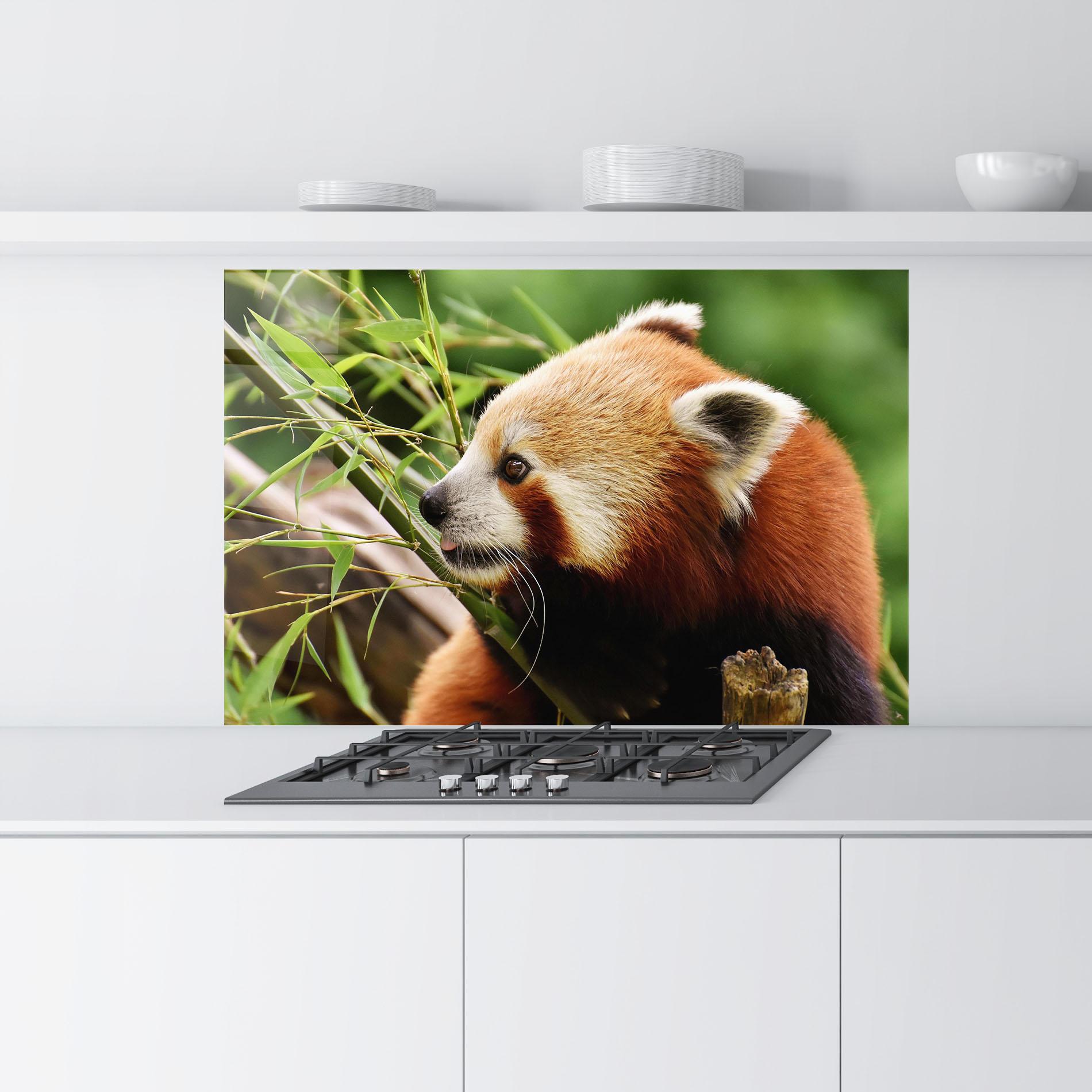 Küchenrückwand Glas Cute Red Panda mockup 9