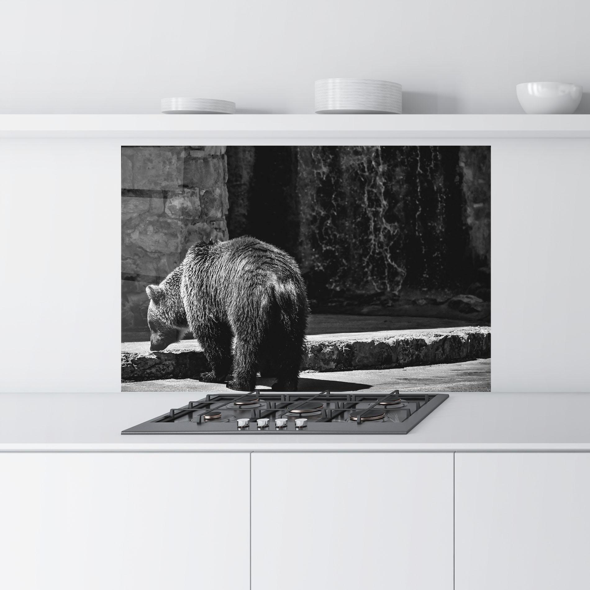 Küchenrückwand Glas Grey Bear mockup 9