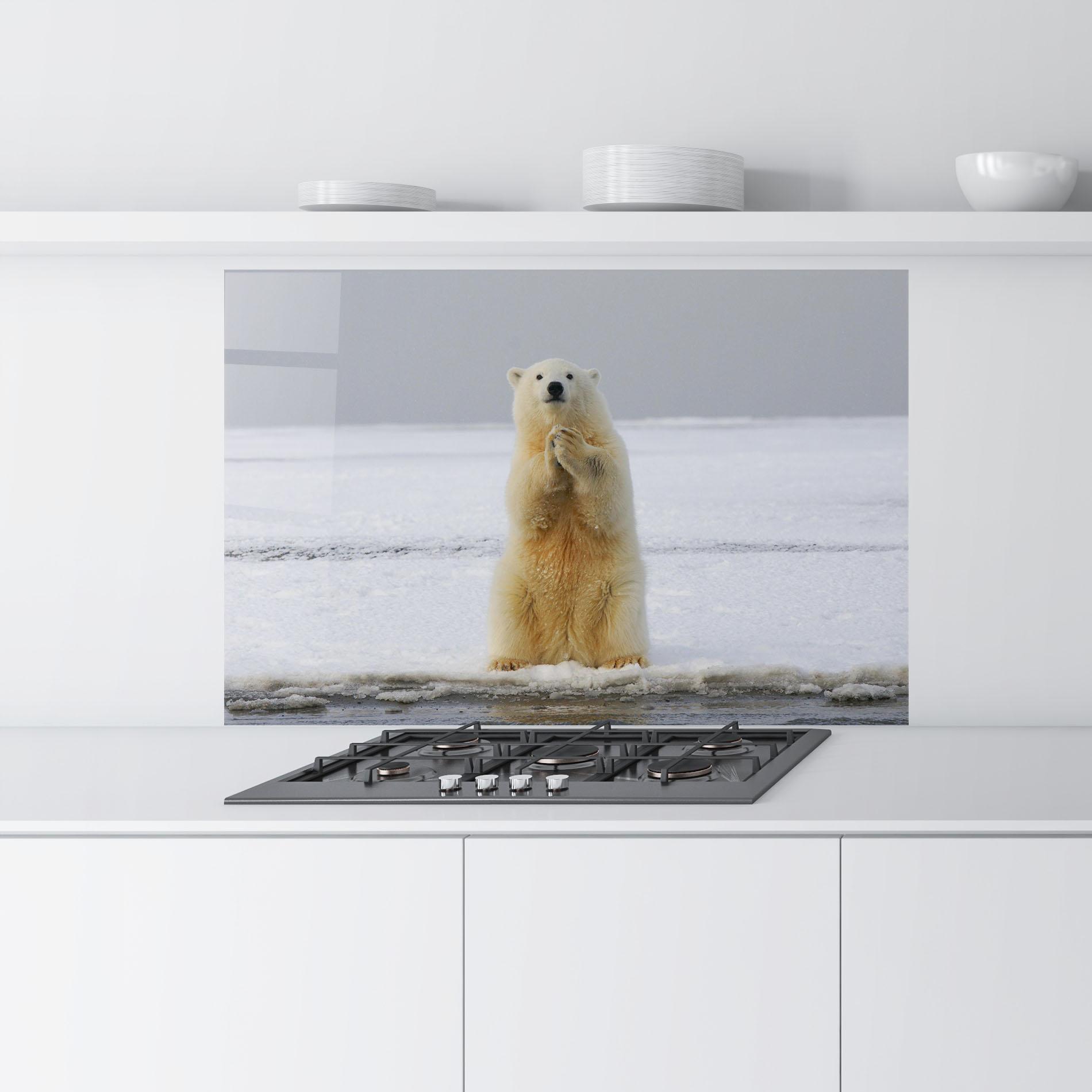 Küchenrückwand Glas Icebear Praying mockup 9