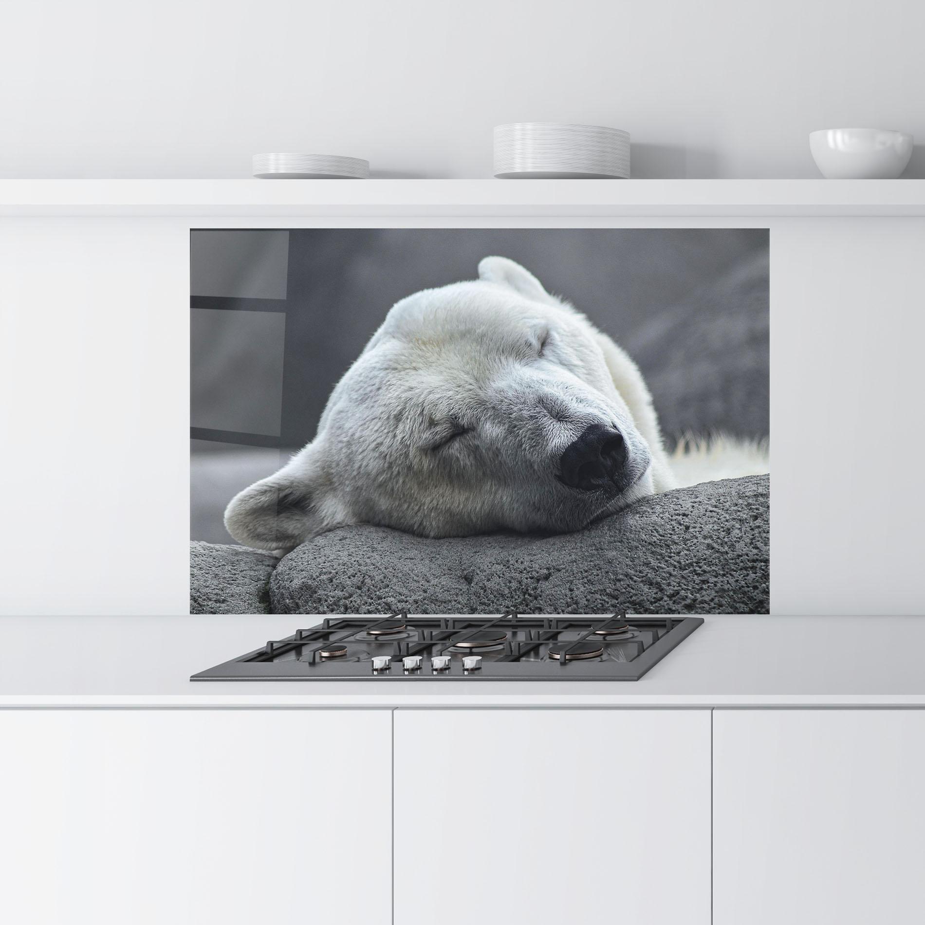 Küchenrückwand Glas Icebear Sleeping mockup 9