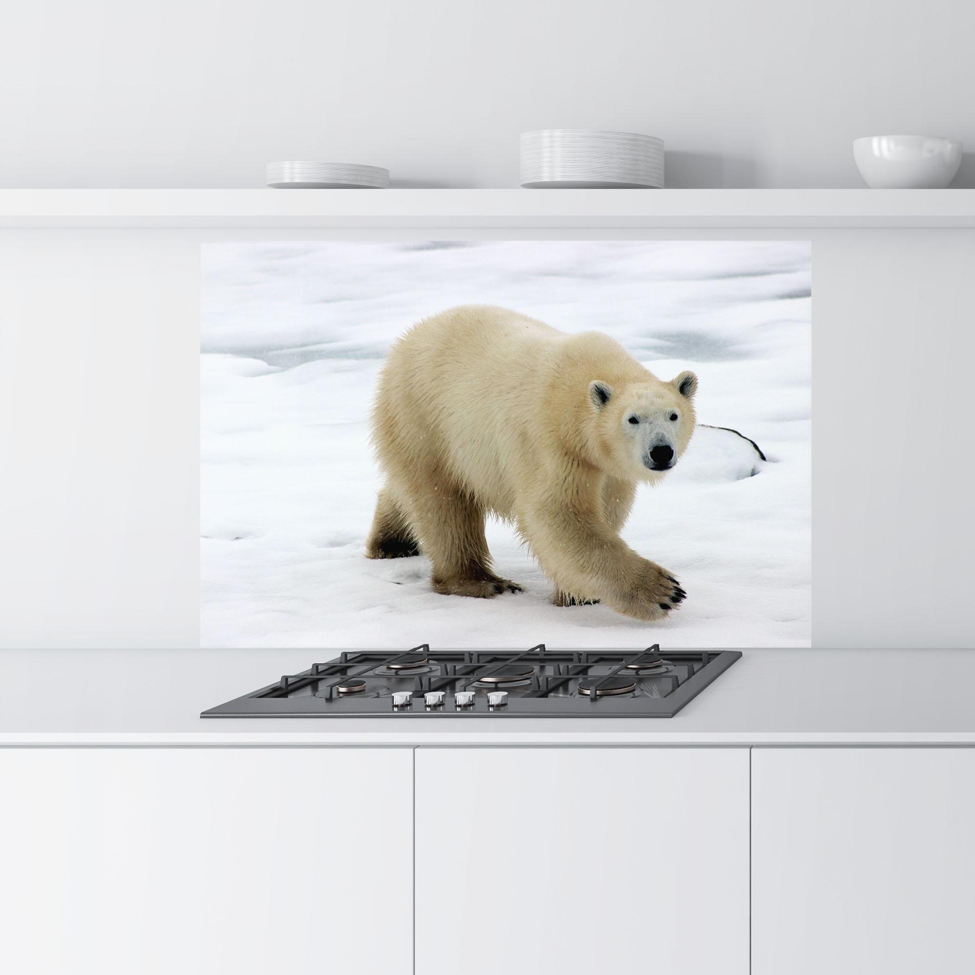 Küchenrückwand Glas Icebear Walking mockup 9